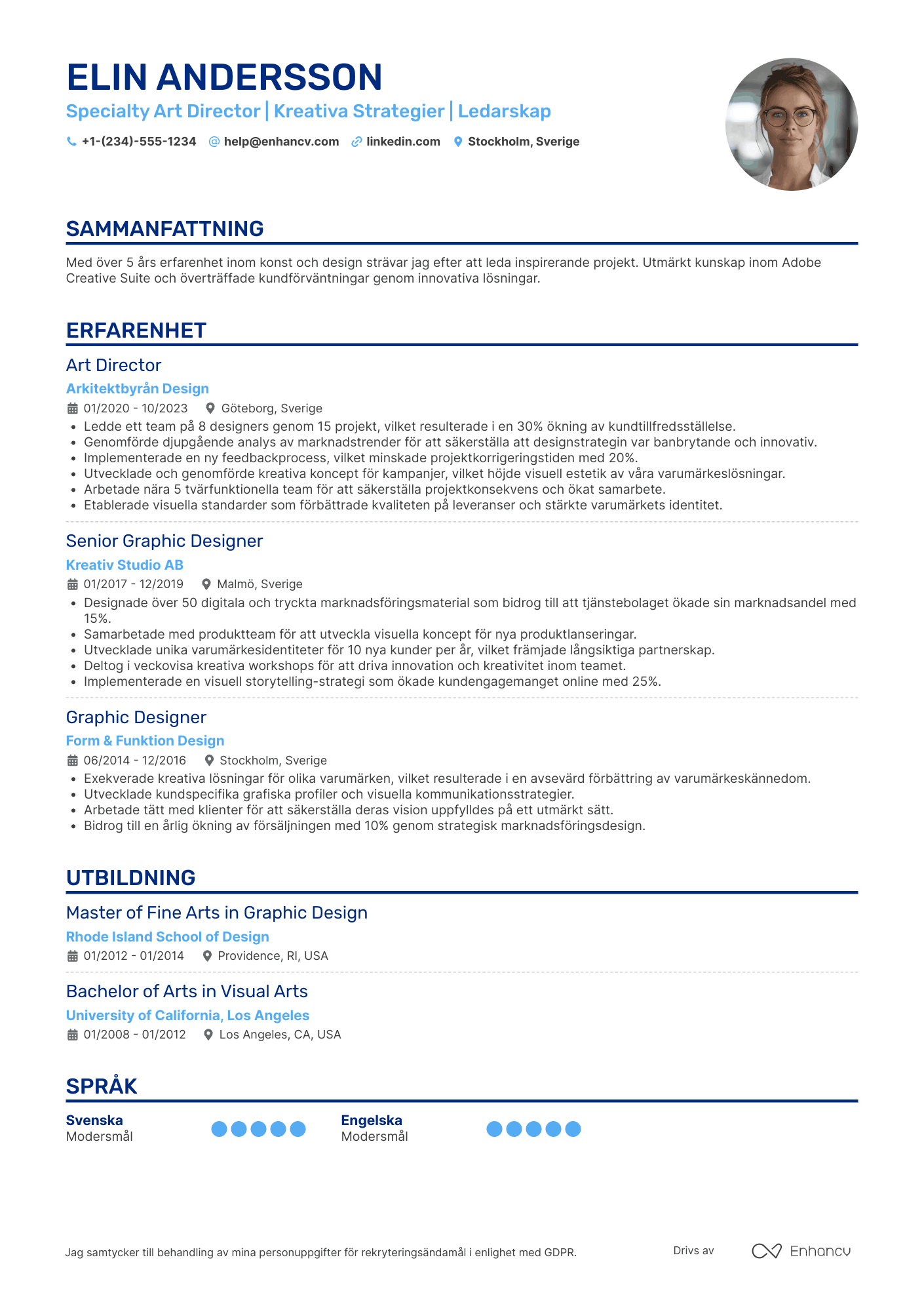 CV för Specialty Art Director Resume Example