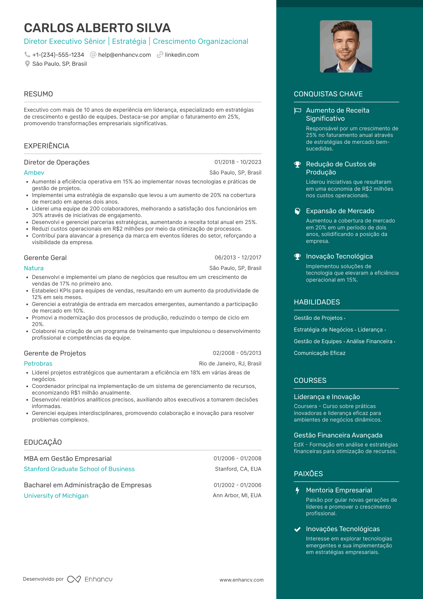 Currículo para diretor executivo sênior Resume Example