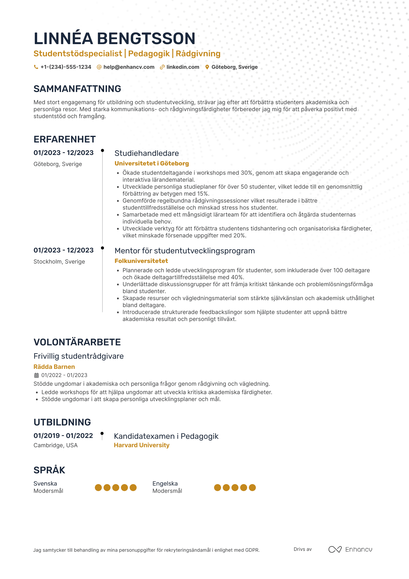 CV för Student Support Specialist Resume Example