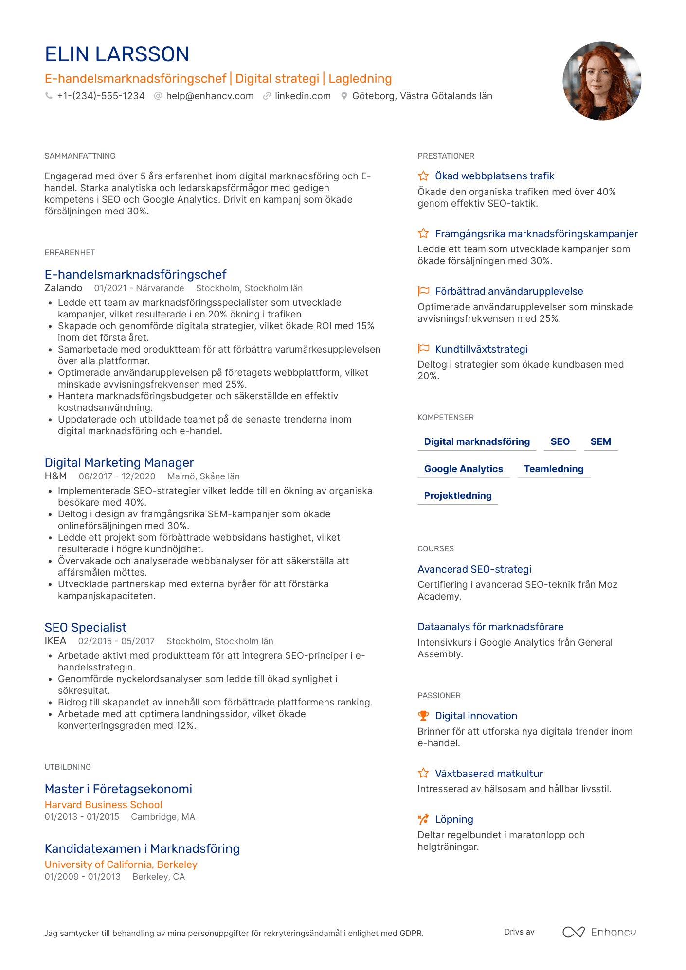 CV för E handelsmarknadsföringschef Resume Example