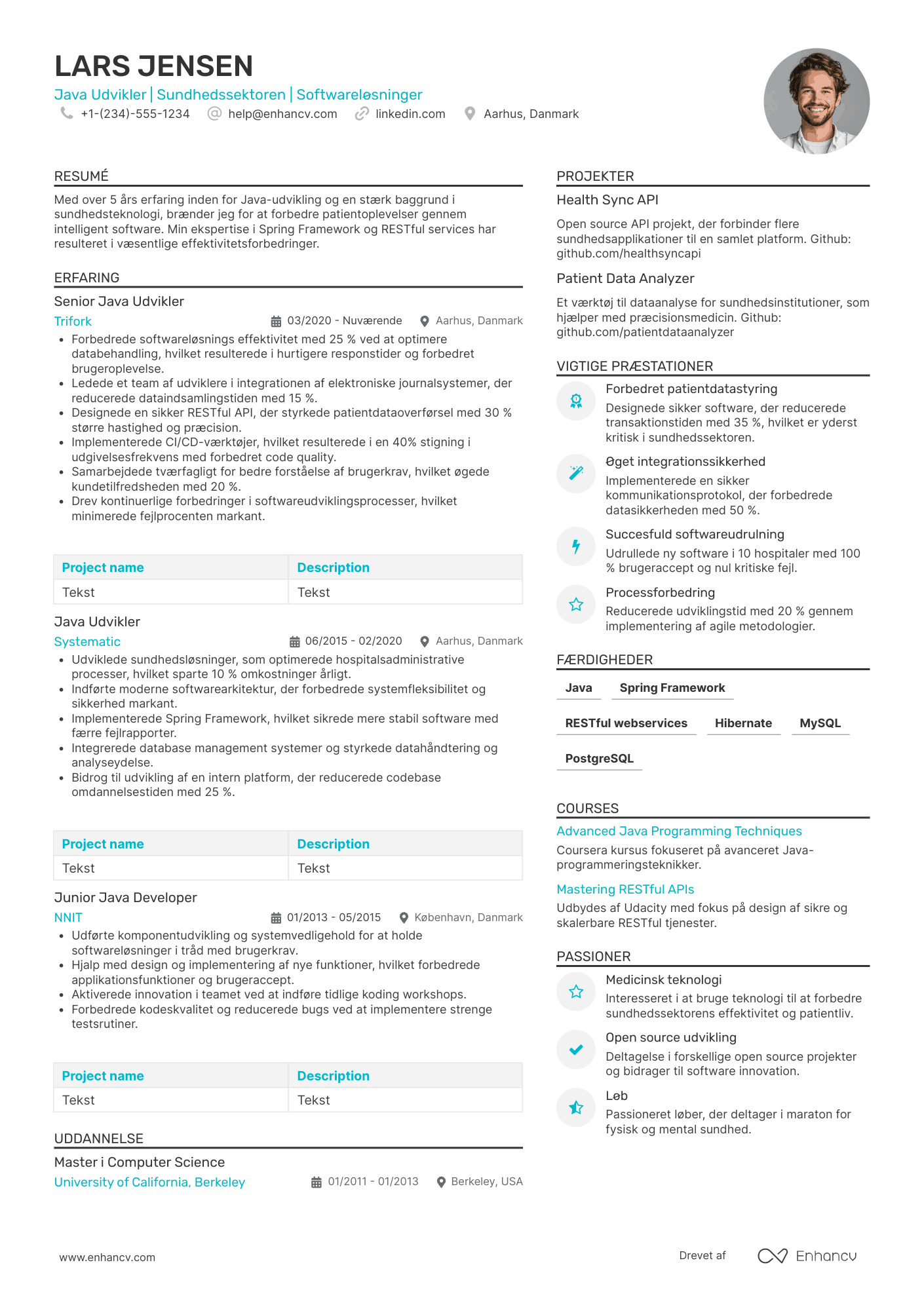 CV til Java Udvikler i sundhedssektoren Resume Example
