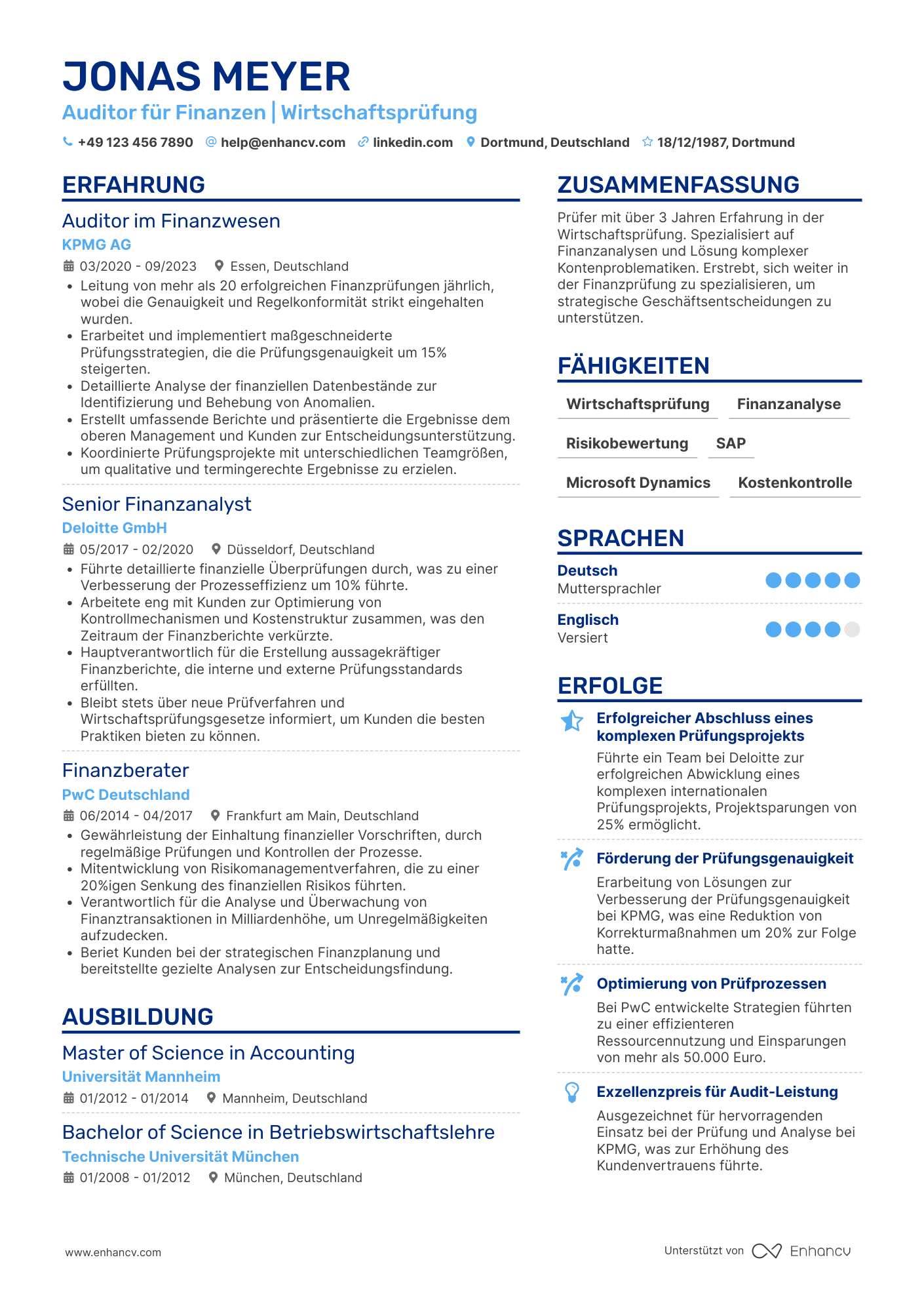 Lebenslauf als Prüfer für Wirtschaftsprüfung Resume Example