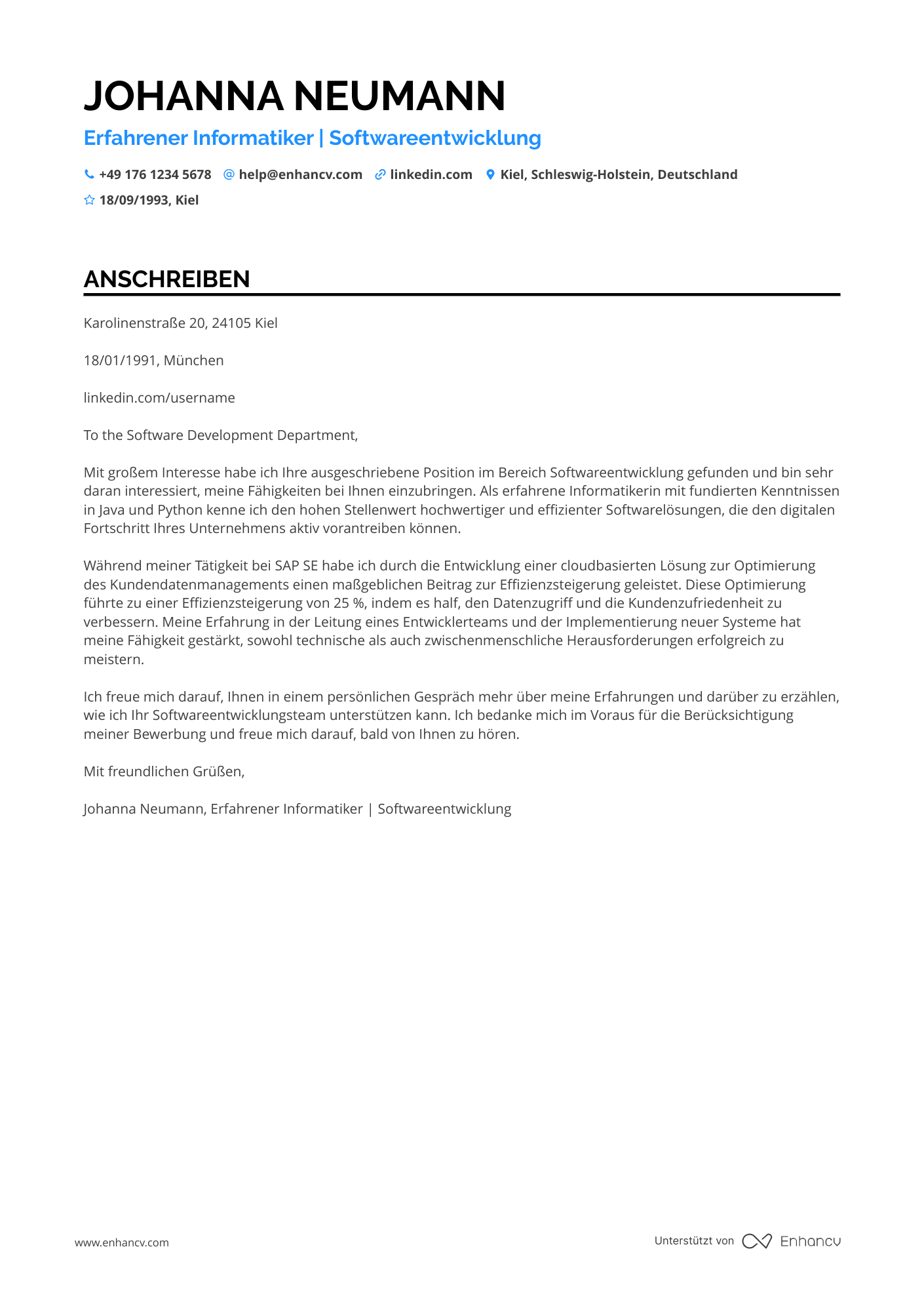 Erfahrener Informatiker Resume Example