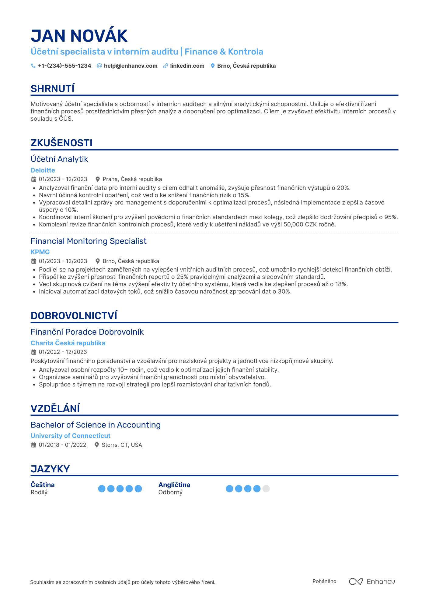 Životopis pro Účetní Vnitřní Auditu Resume Example