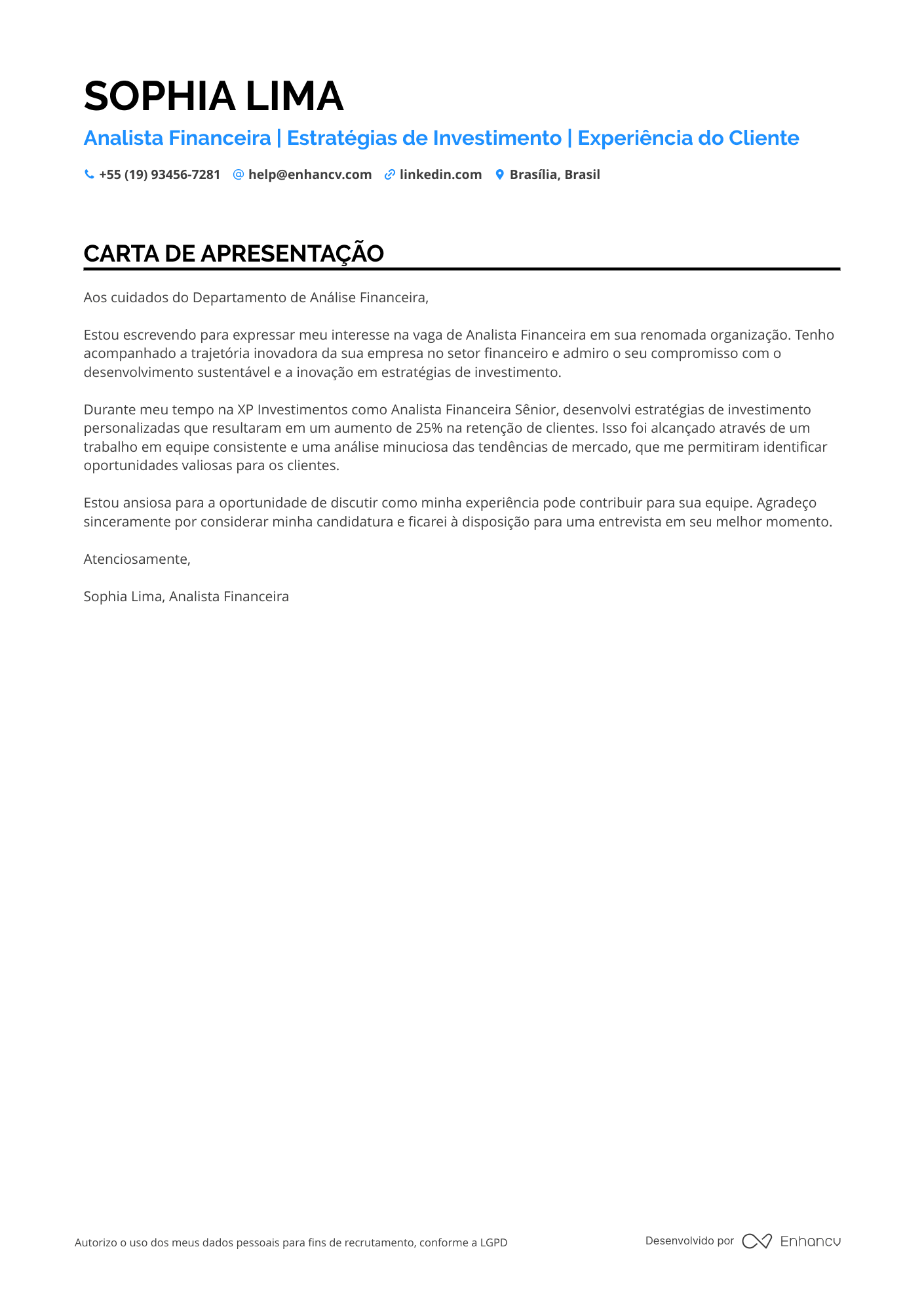 Artista de Storyboard Resume Example