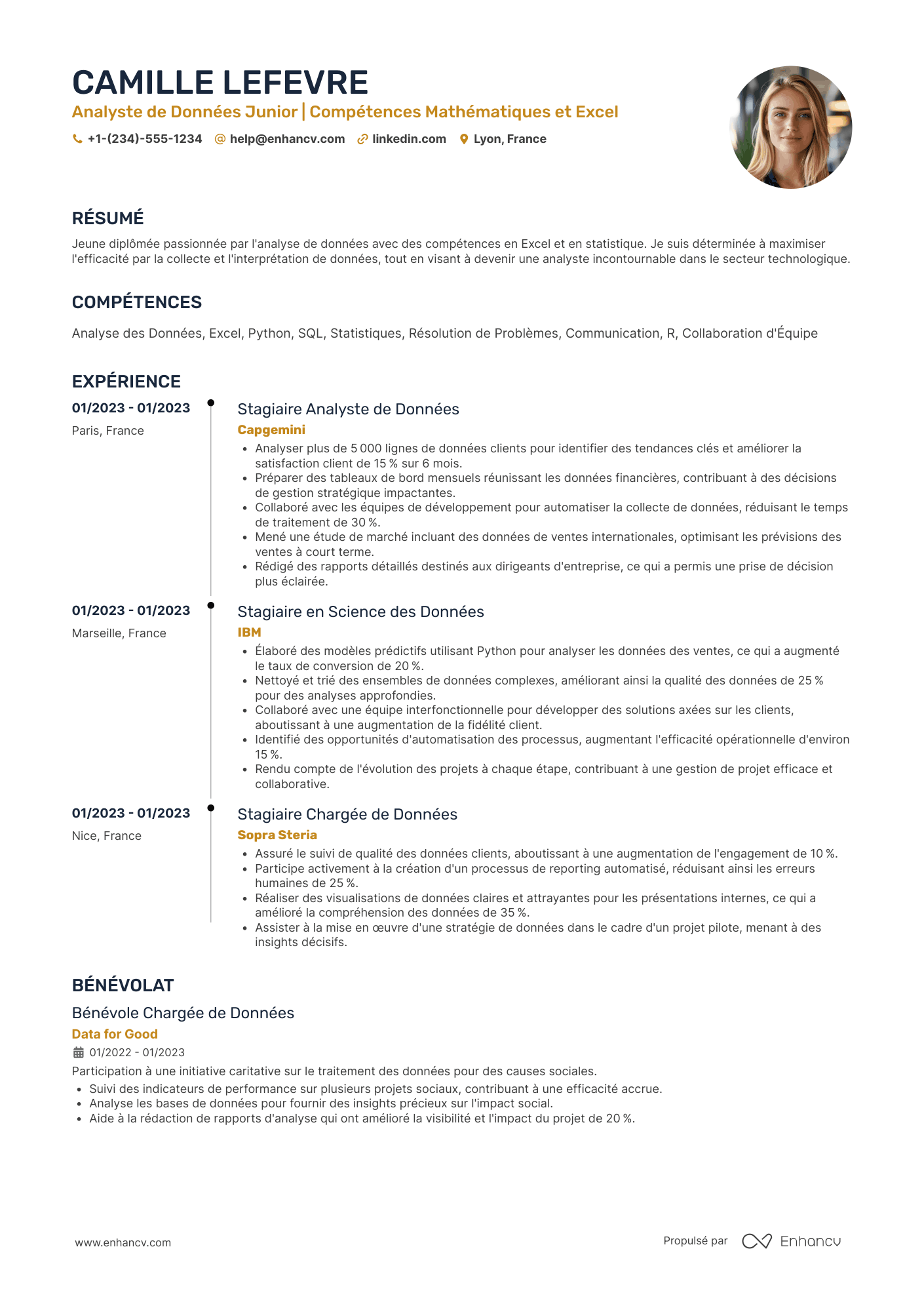 CV de data analyst sans expérience Resume Example