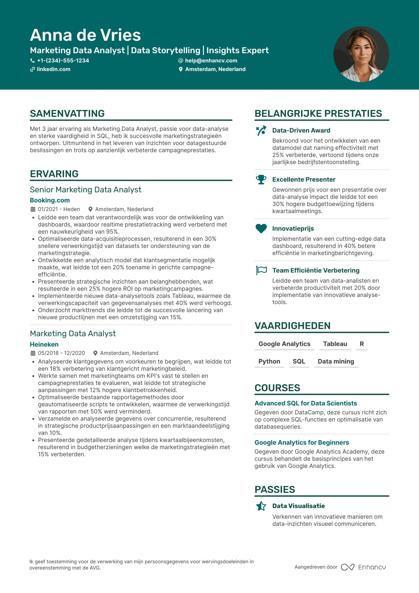 CV voor Marketing Data Analyst Resume Example