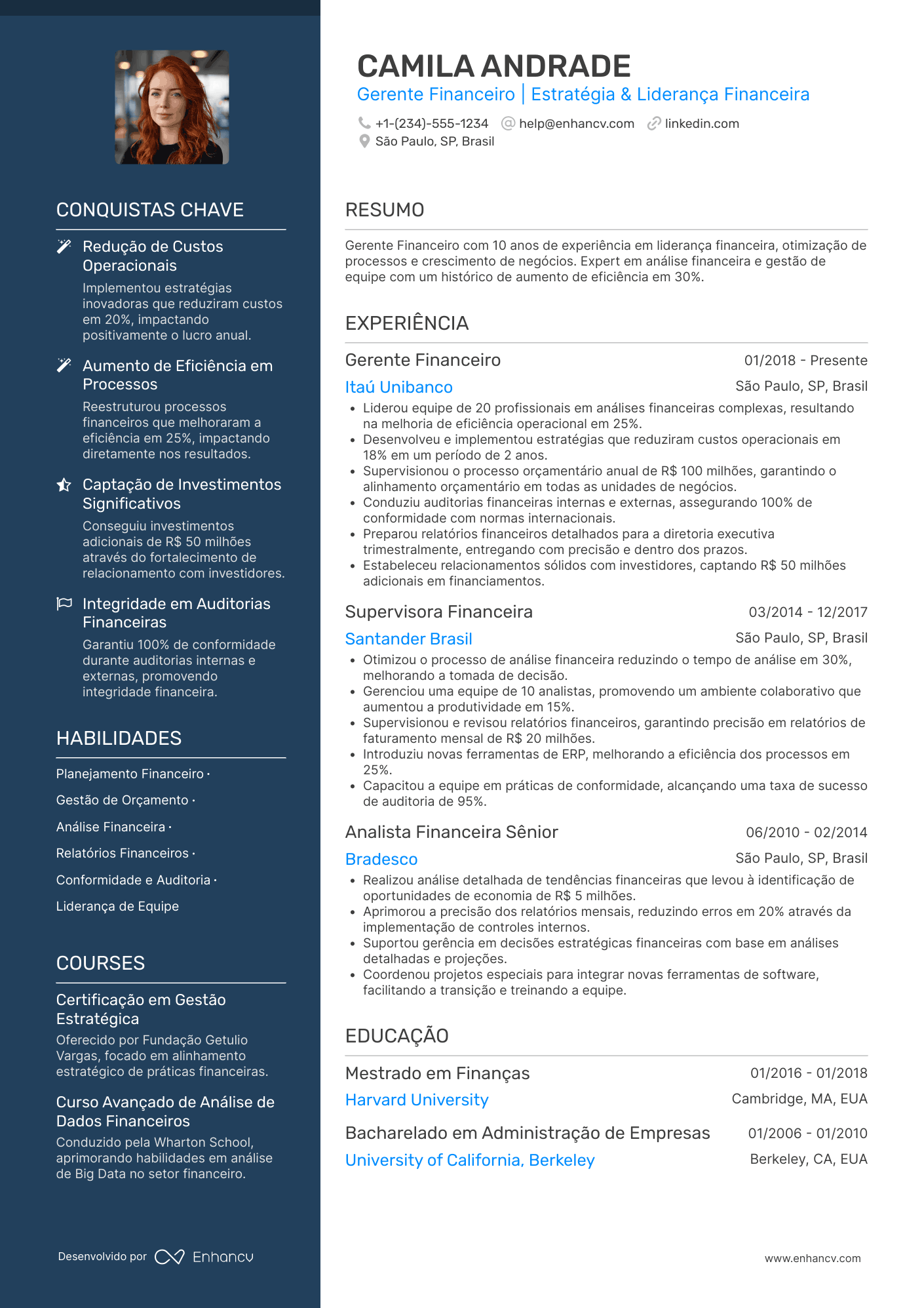 Gerente financeiro Resume Example