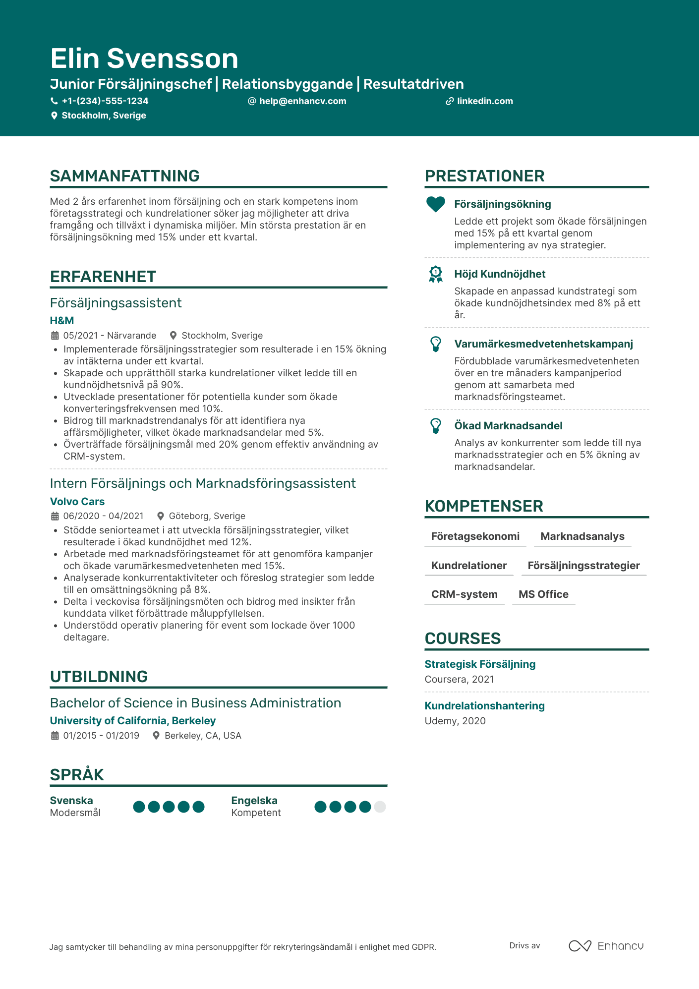 CV för Junior Försäljningschef Resume Example