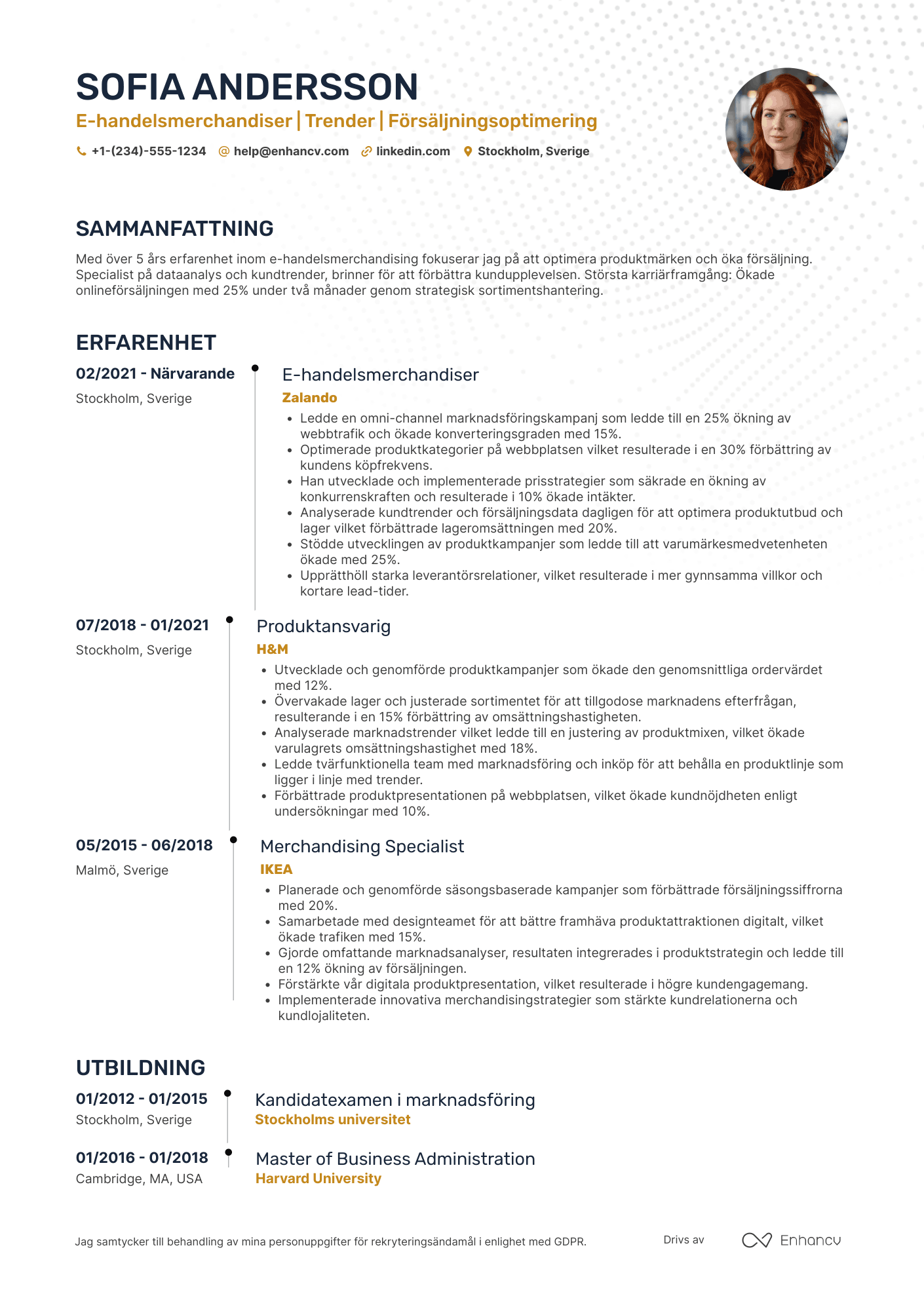 CV för E commerce Merchandiser Resume Example