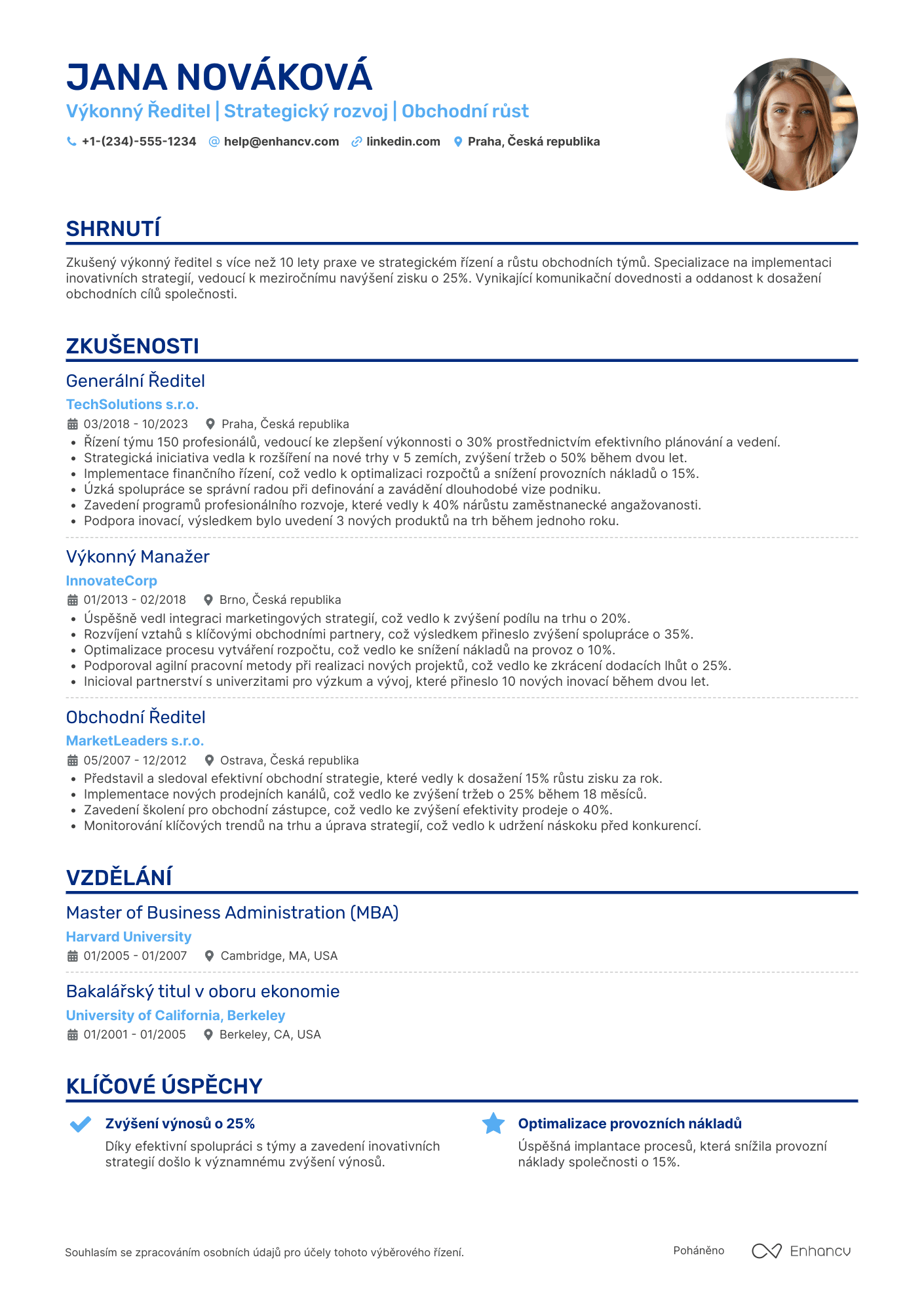 Životopis pro Výkonný Ředitel Resume Example
