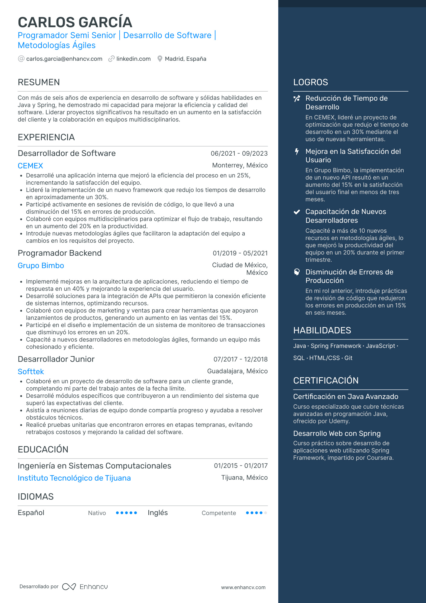 Programador Semi Senior Resume Example