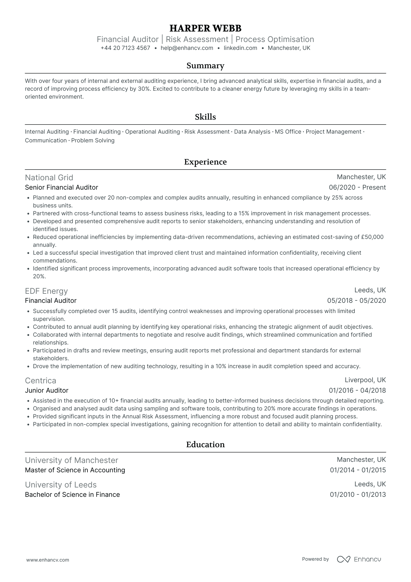 Operational Auditor Resume Example