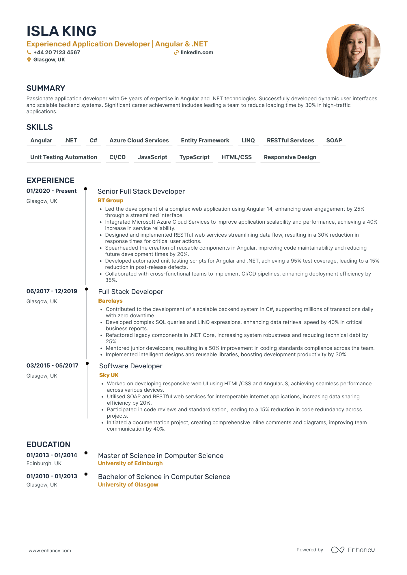 .Net Application Developer Resume Example