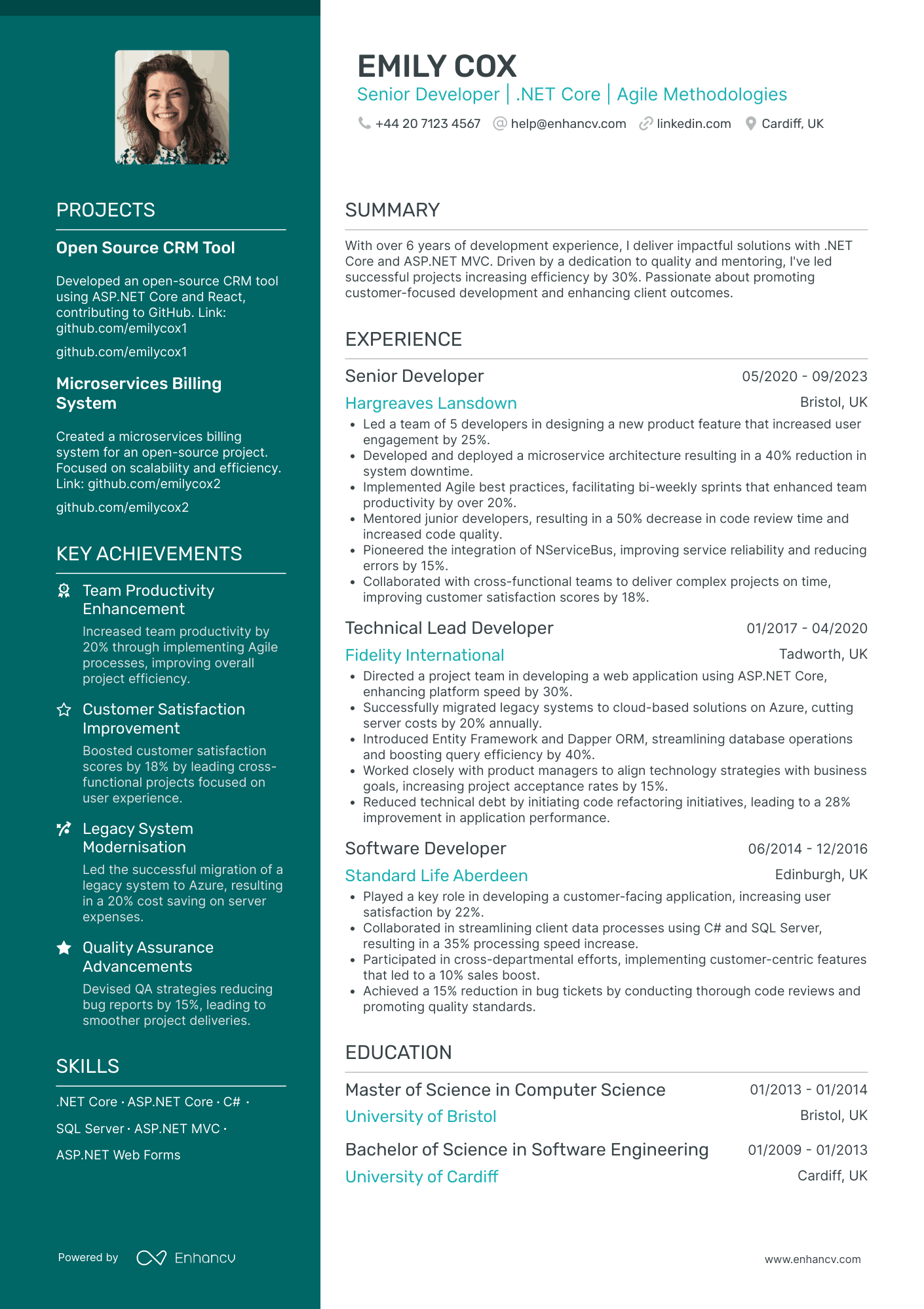 Principal .Net Developer Resume Example