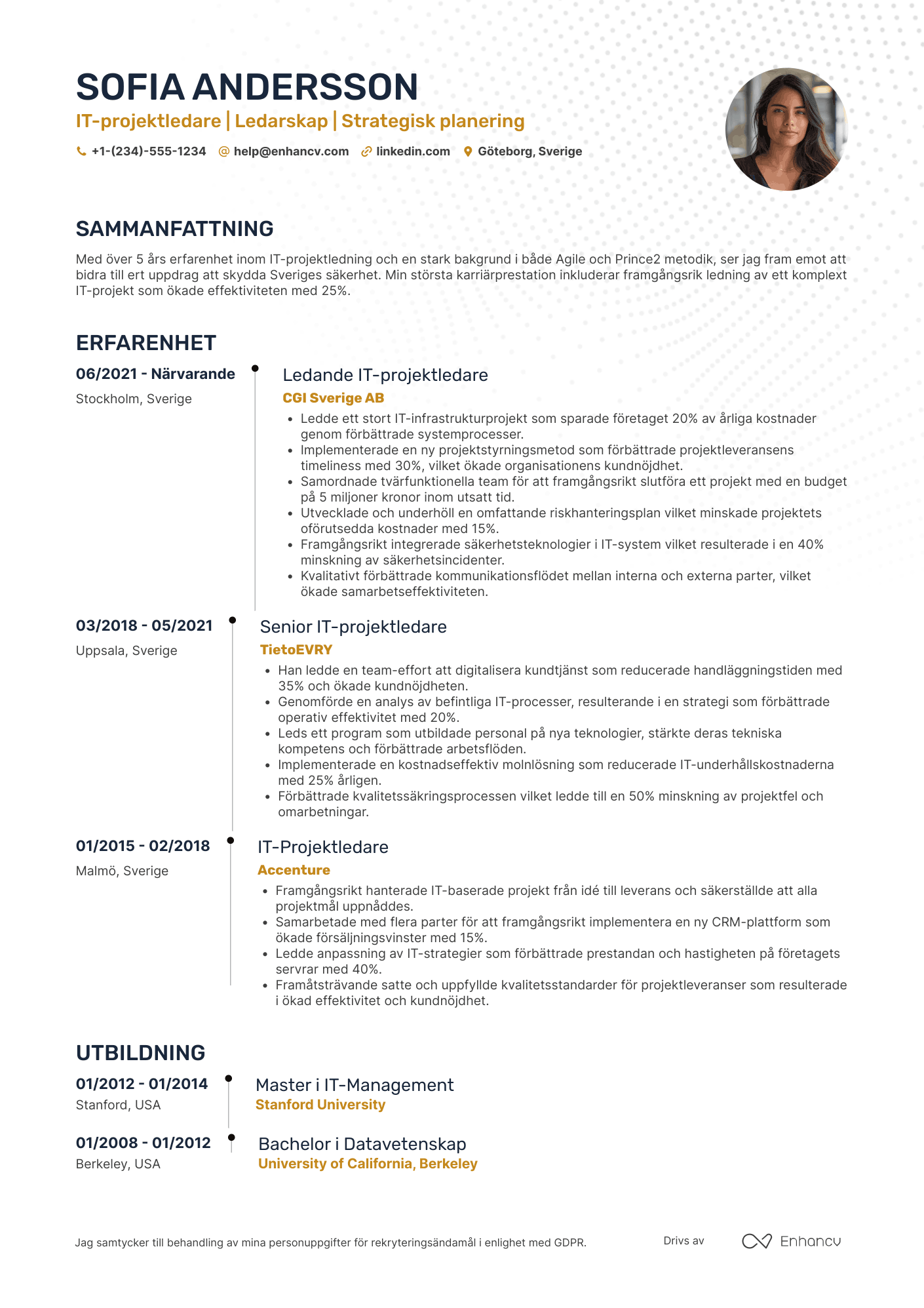 CV för Försvaret IT projektledare Resume Example