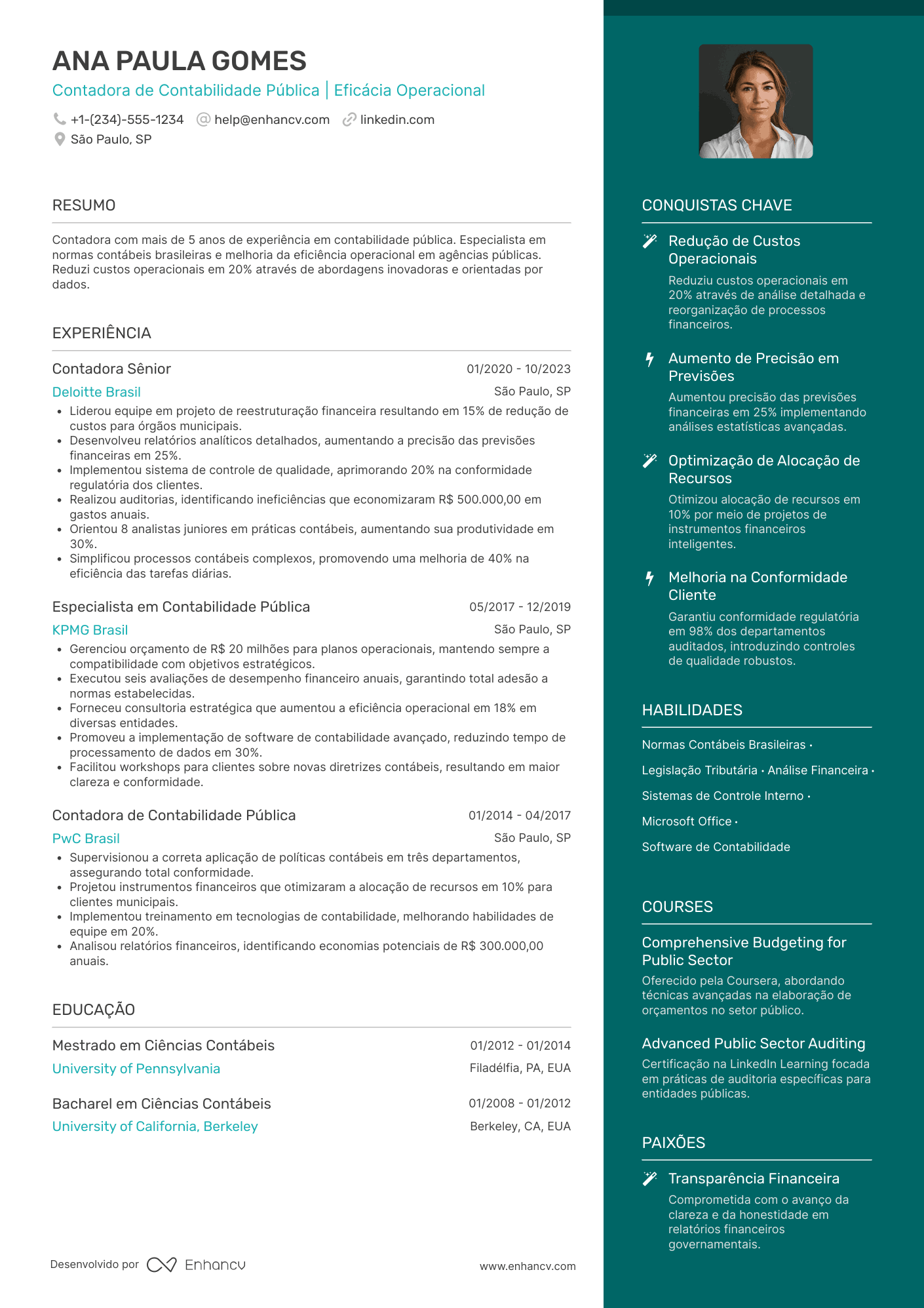 Currículo de contador de contabilidade pública Resume Example