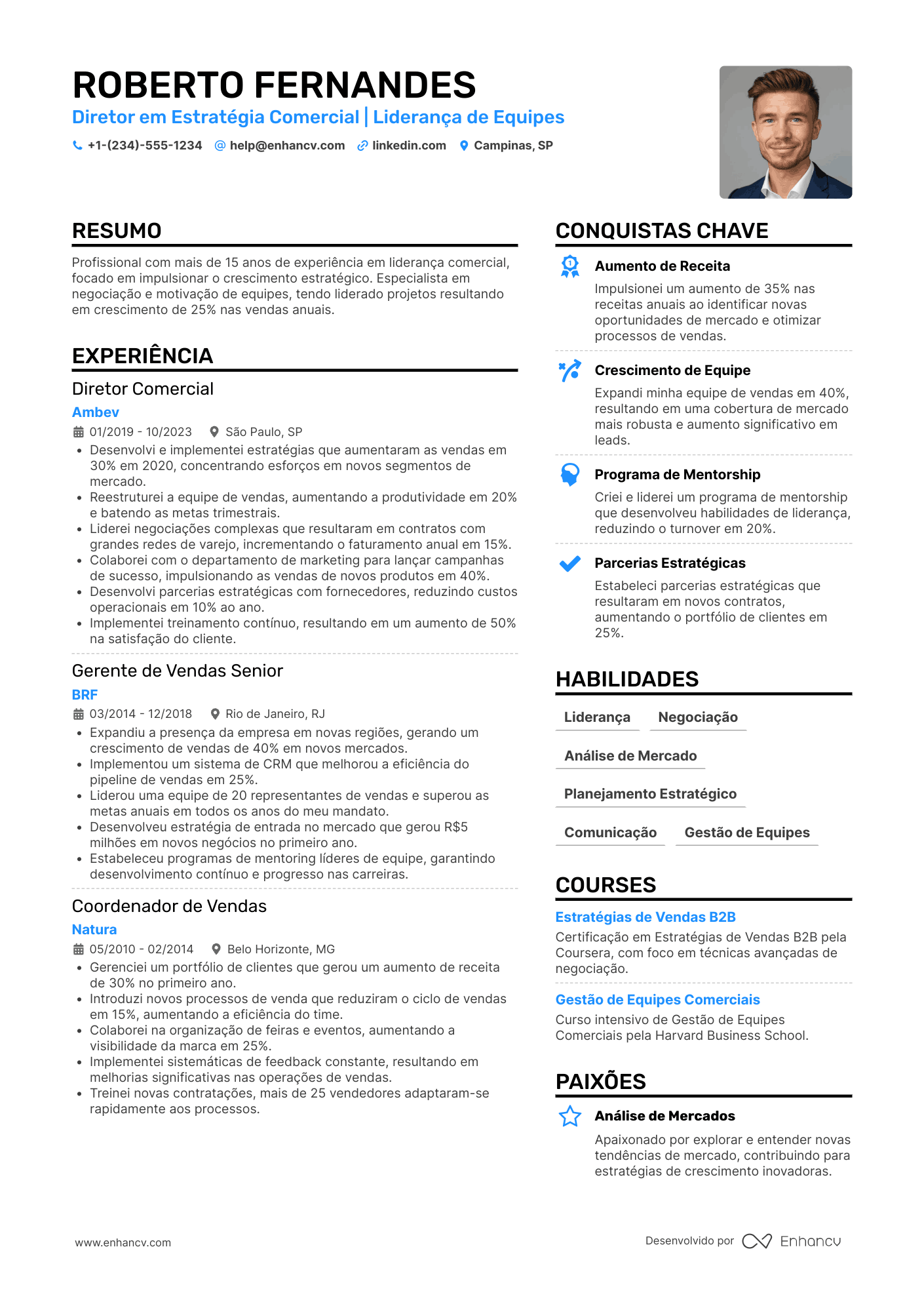 Currículo diretor comercial Resume Example