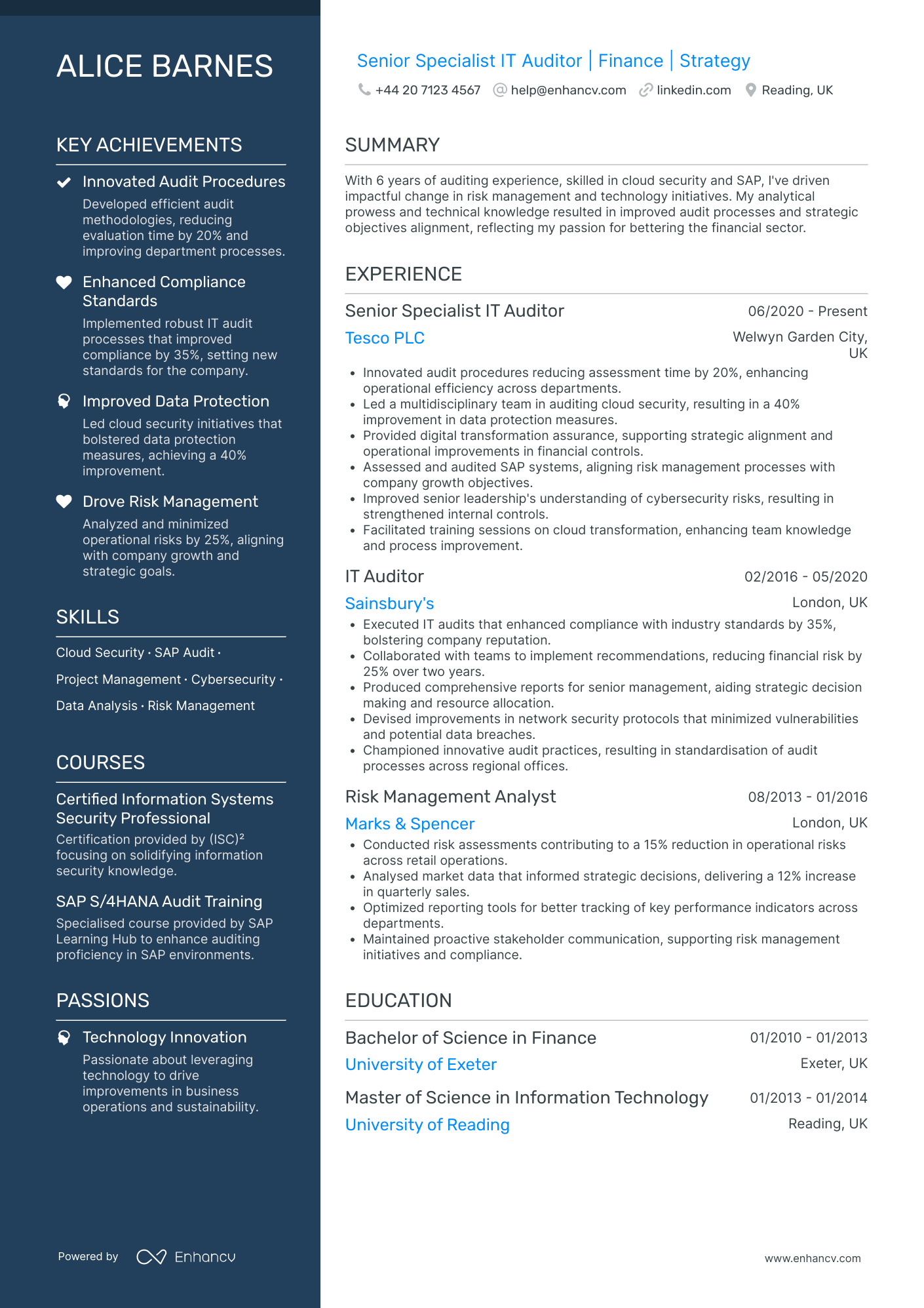 IT Auditor Resume Example