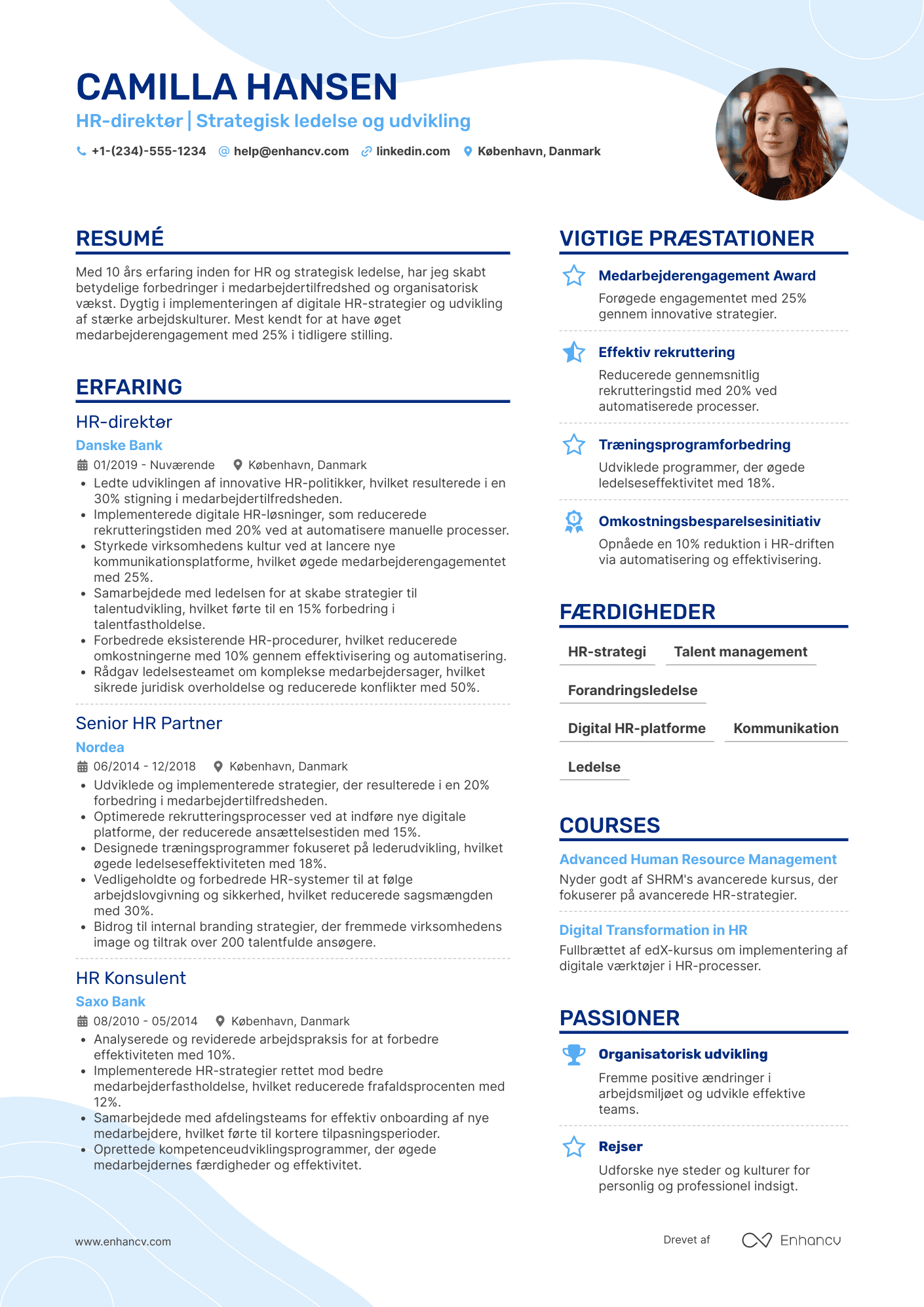 CV til HR direktør – finans Resume Example