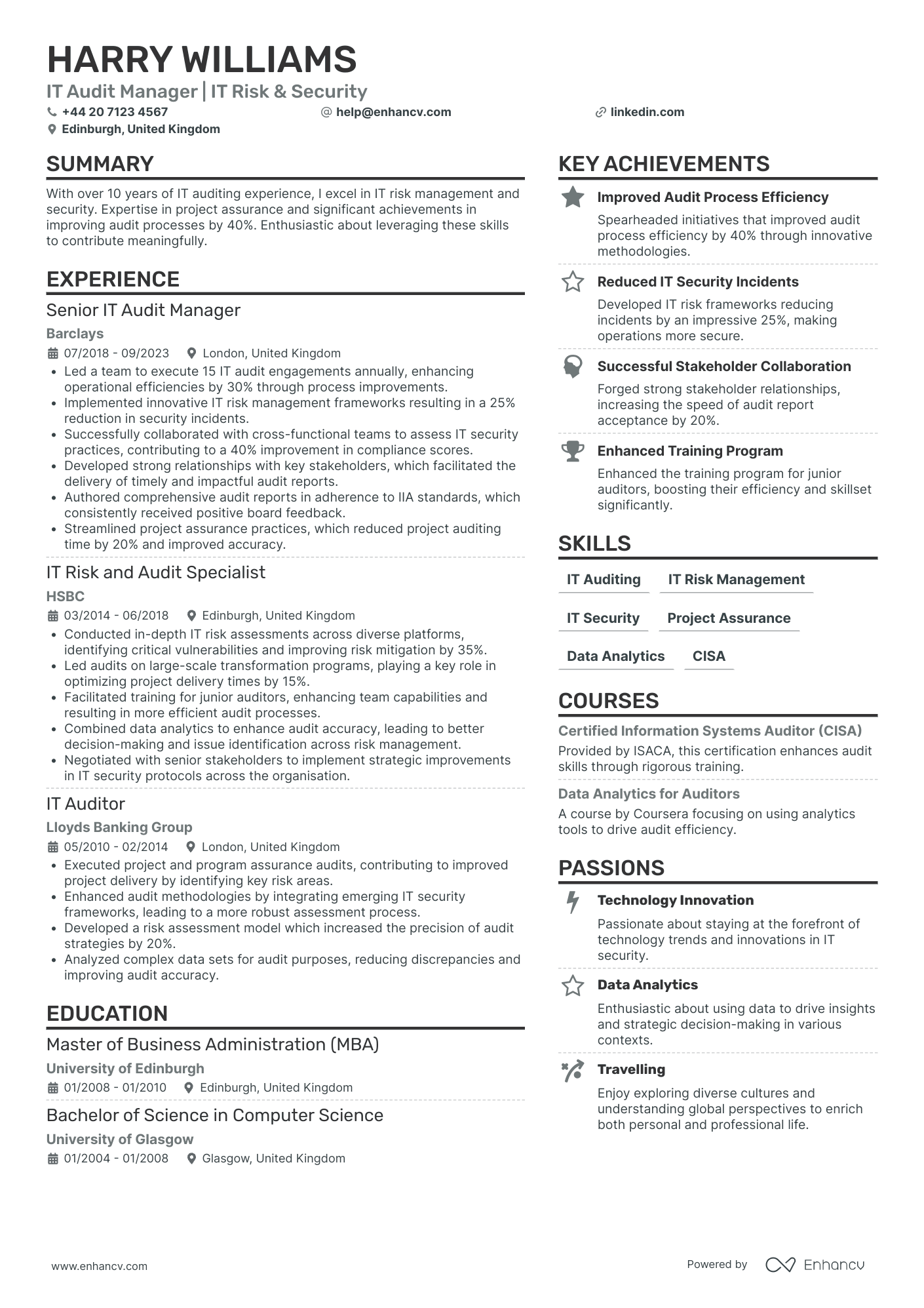 Chief IT Auditor Resume Example