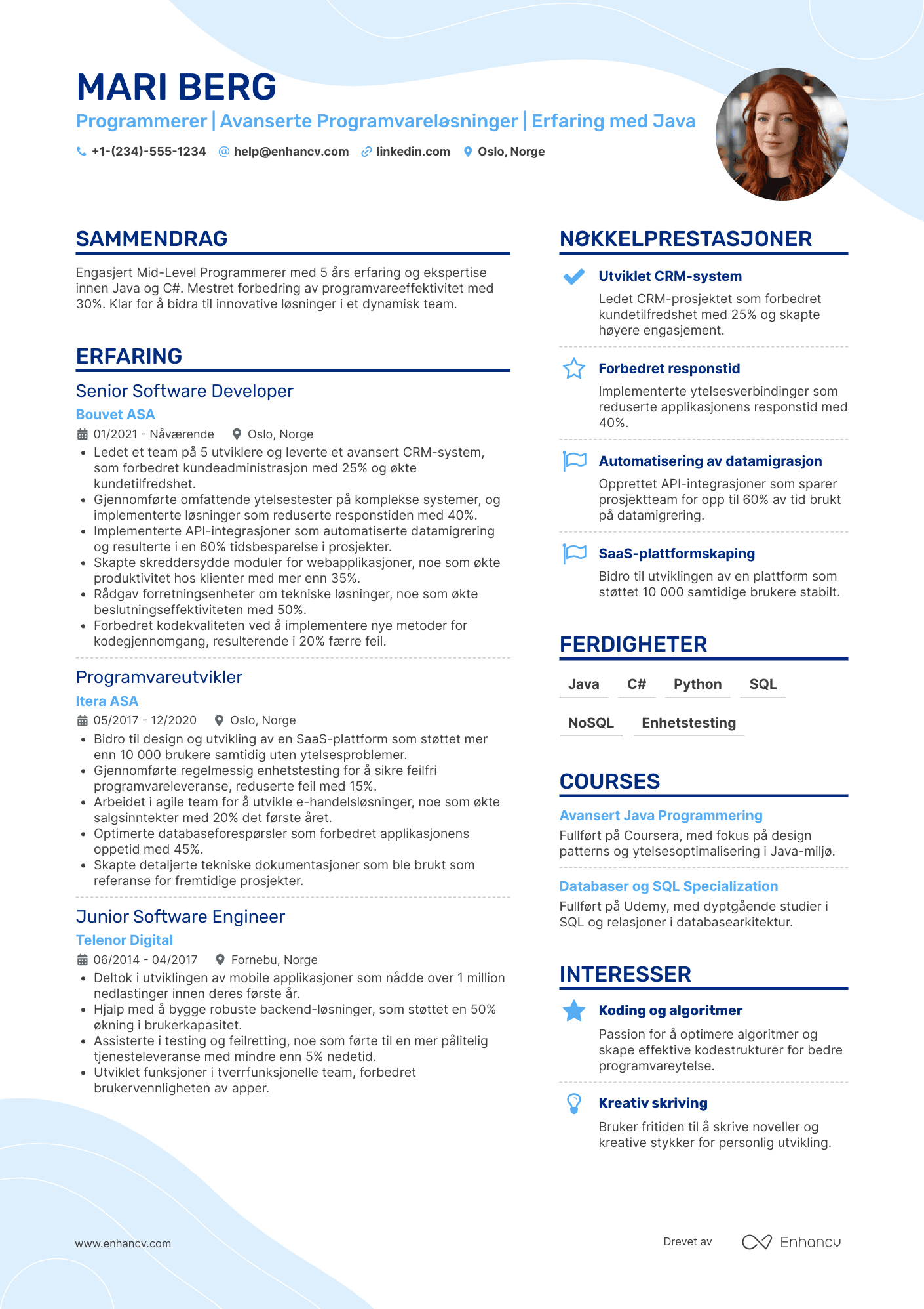 CV for Mid Level Programmerer Resume Example