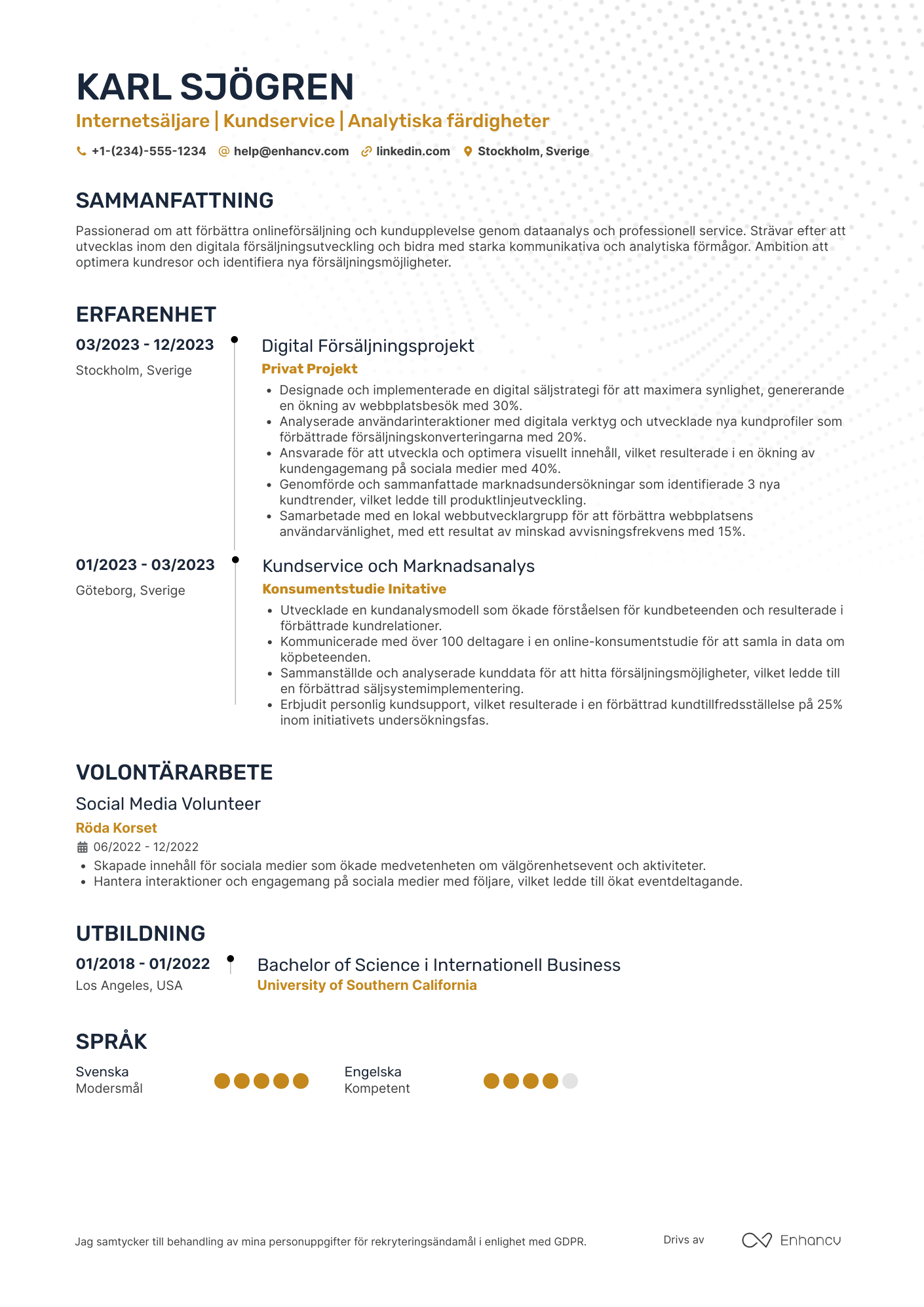 CV för Internetsäljare Resume Example