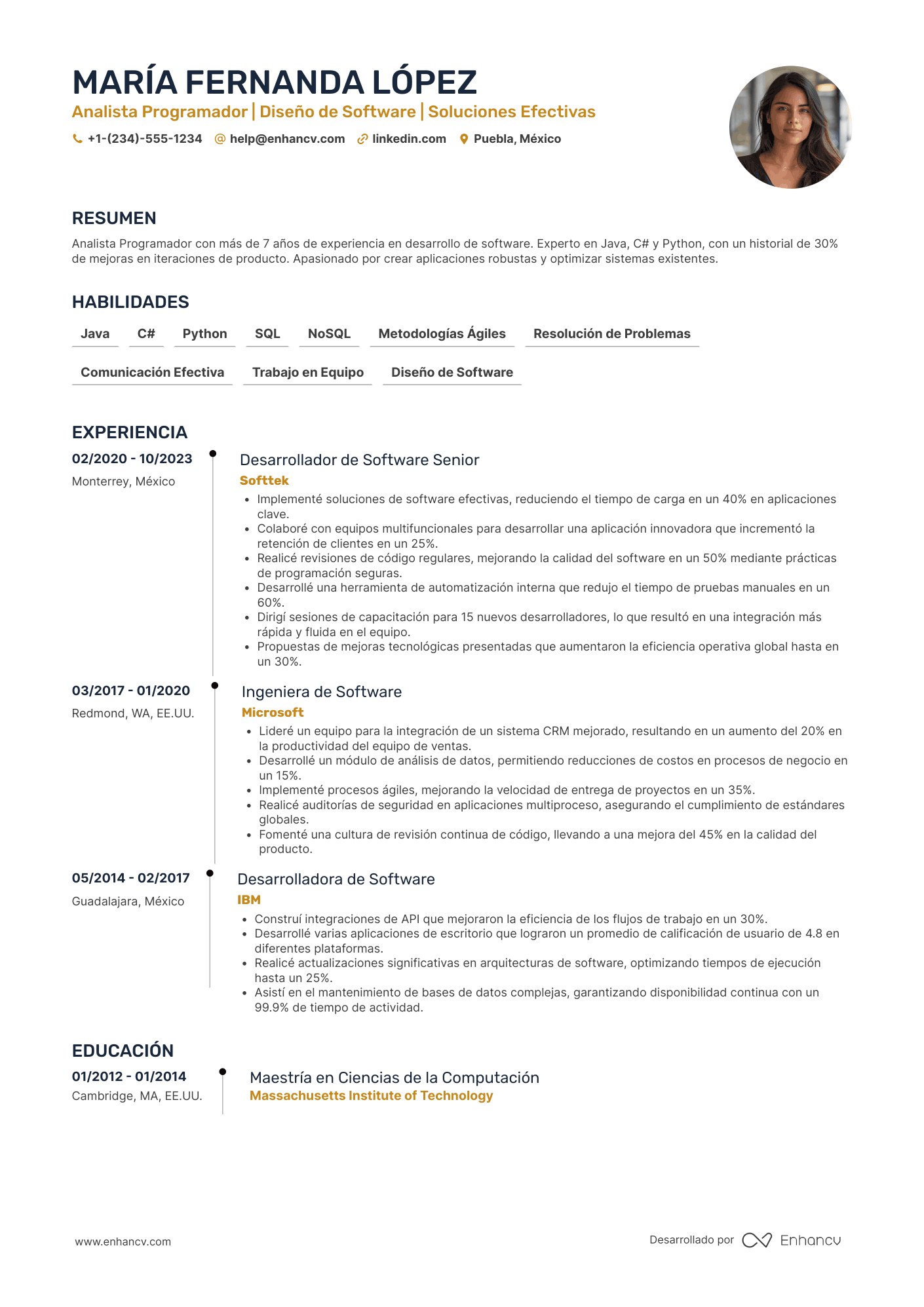 Currículum Analista programador Resume Example