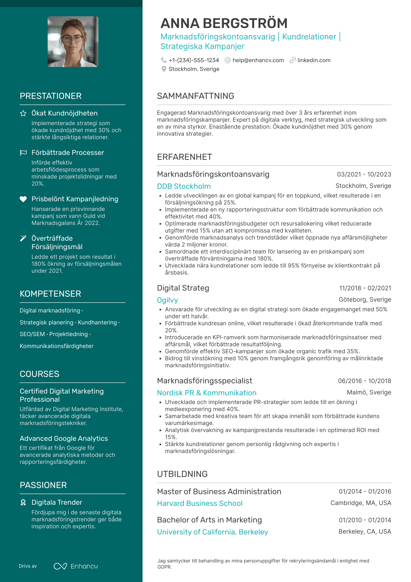 CV för Marketing Account Executive Resume Example