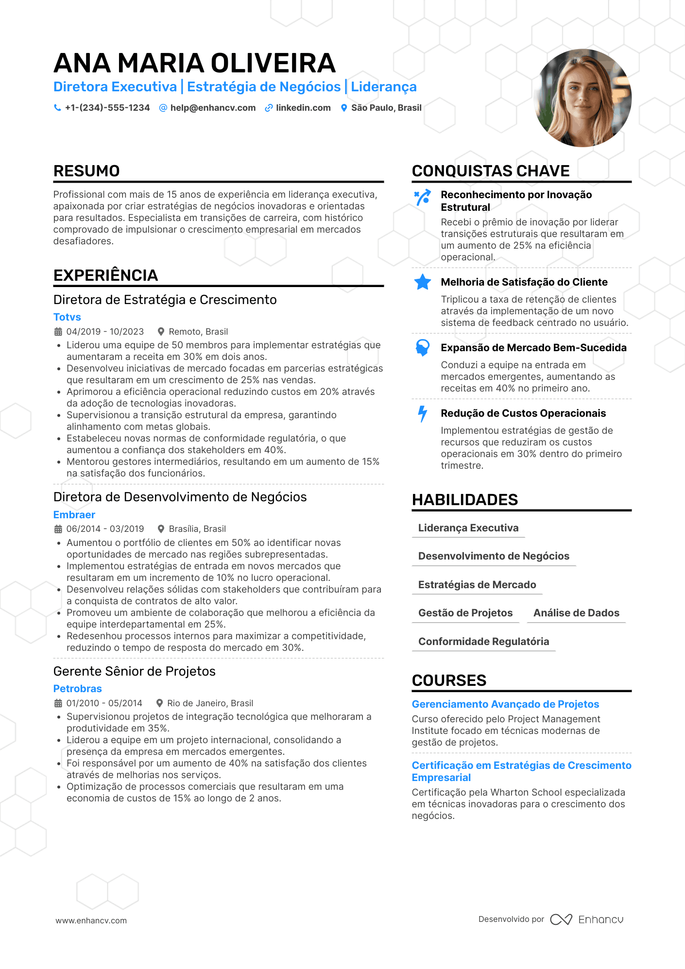 Currículo para diretor executivo em transição de carreira Resume Example