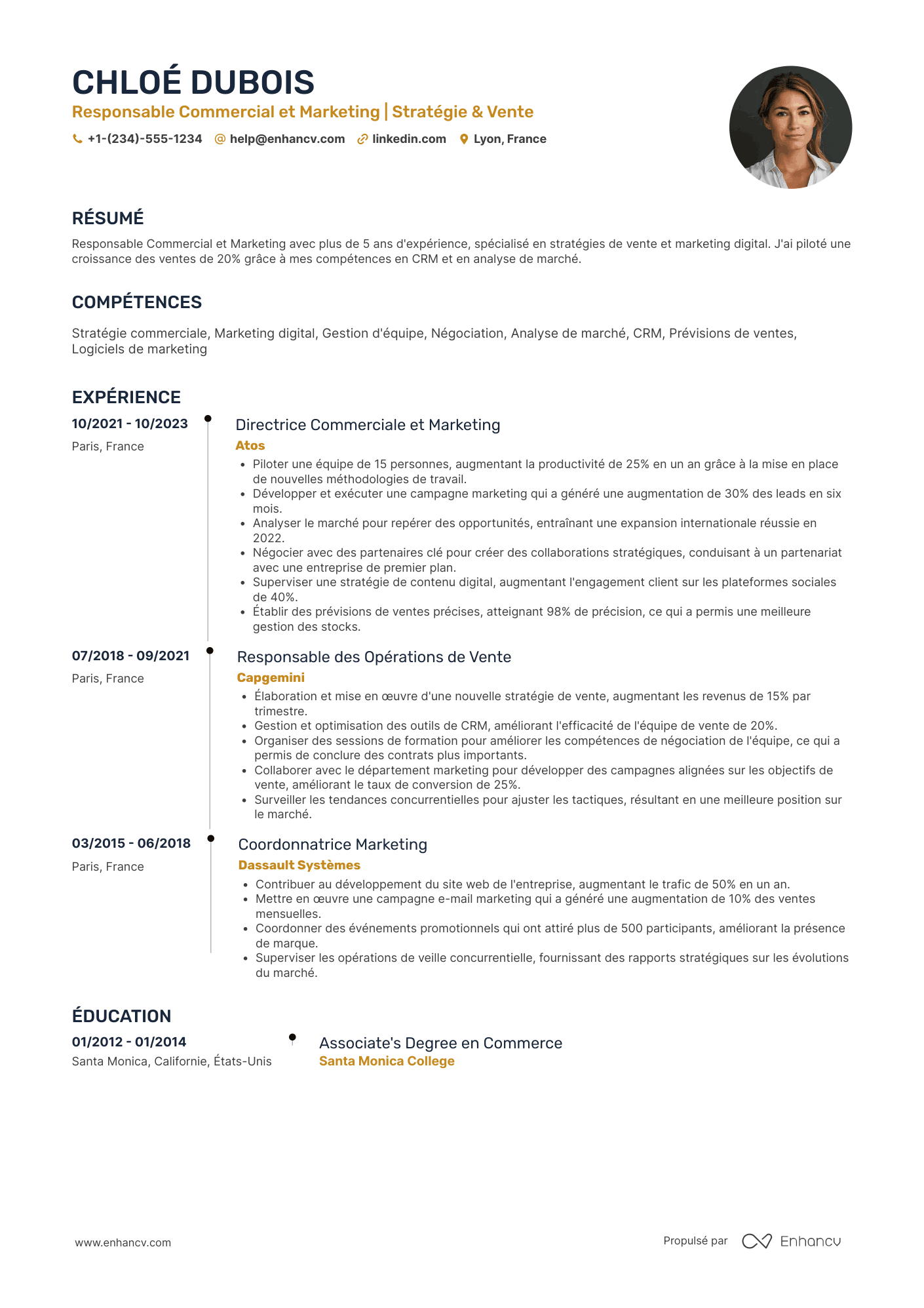 CV Responsable Commercial et Marketing Resume Example