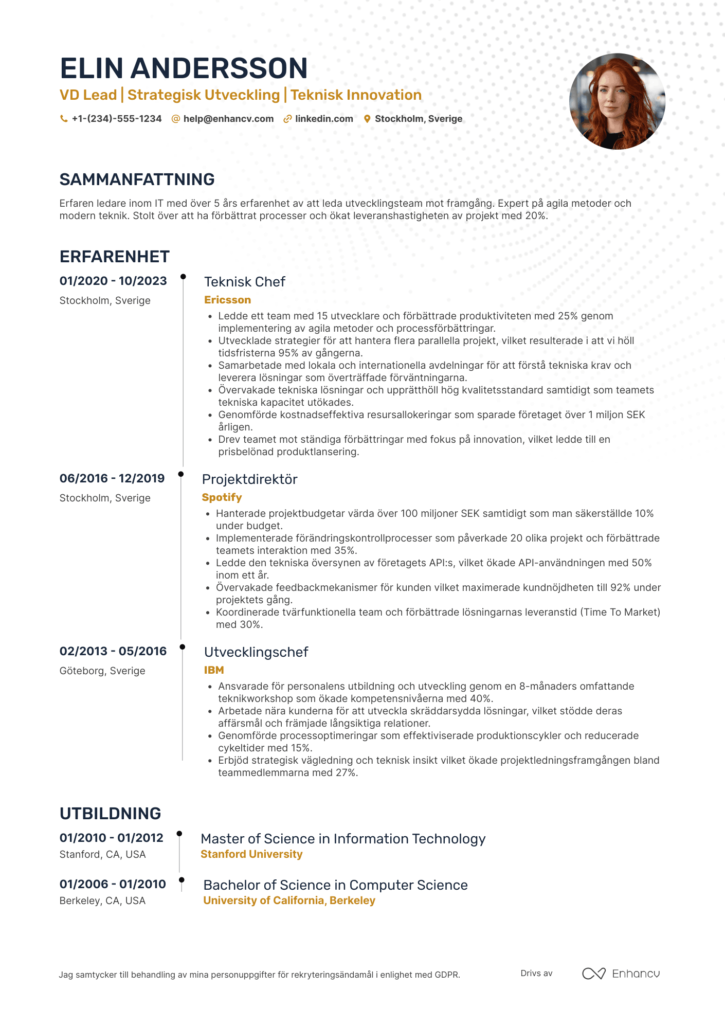 CV för VD Lead Resume Example