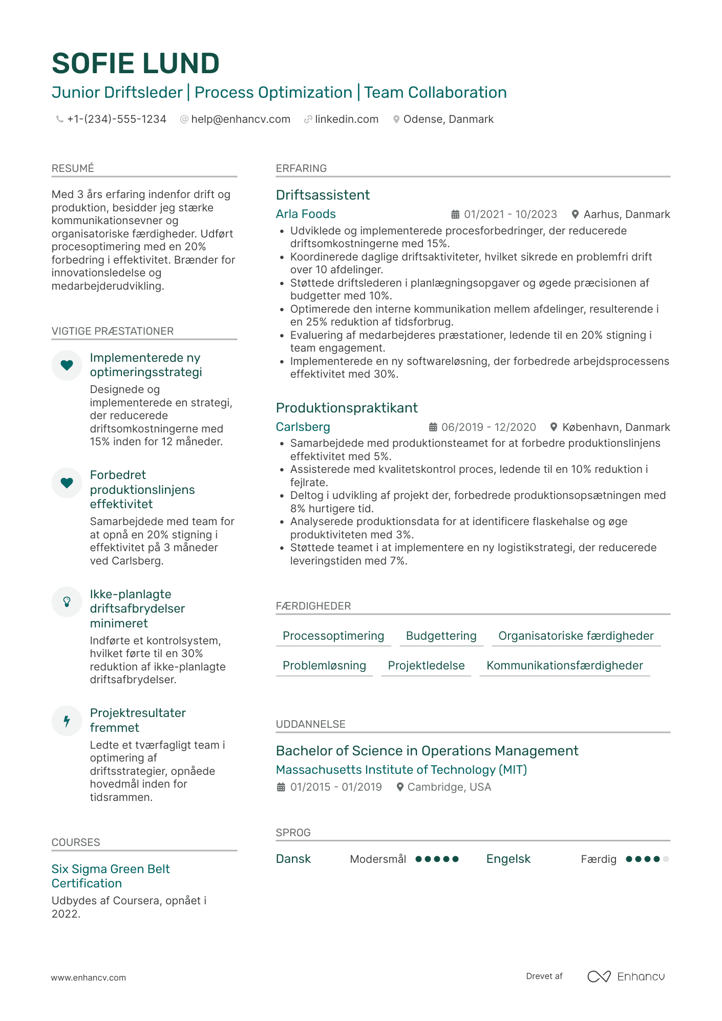 CV til Junior driftsleder Resume Example