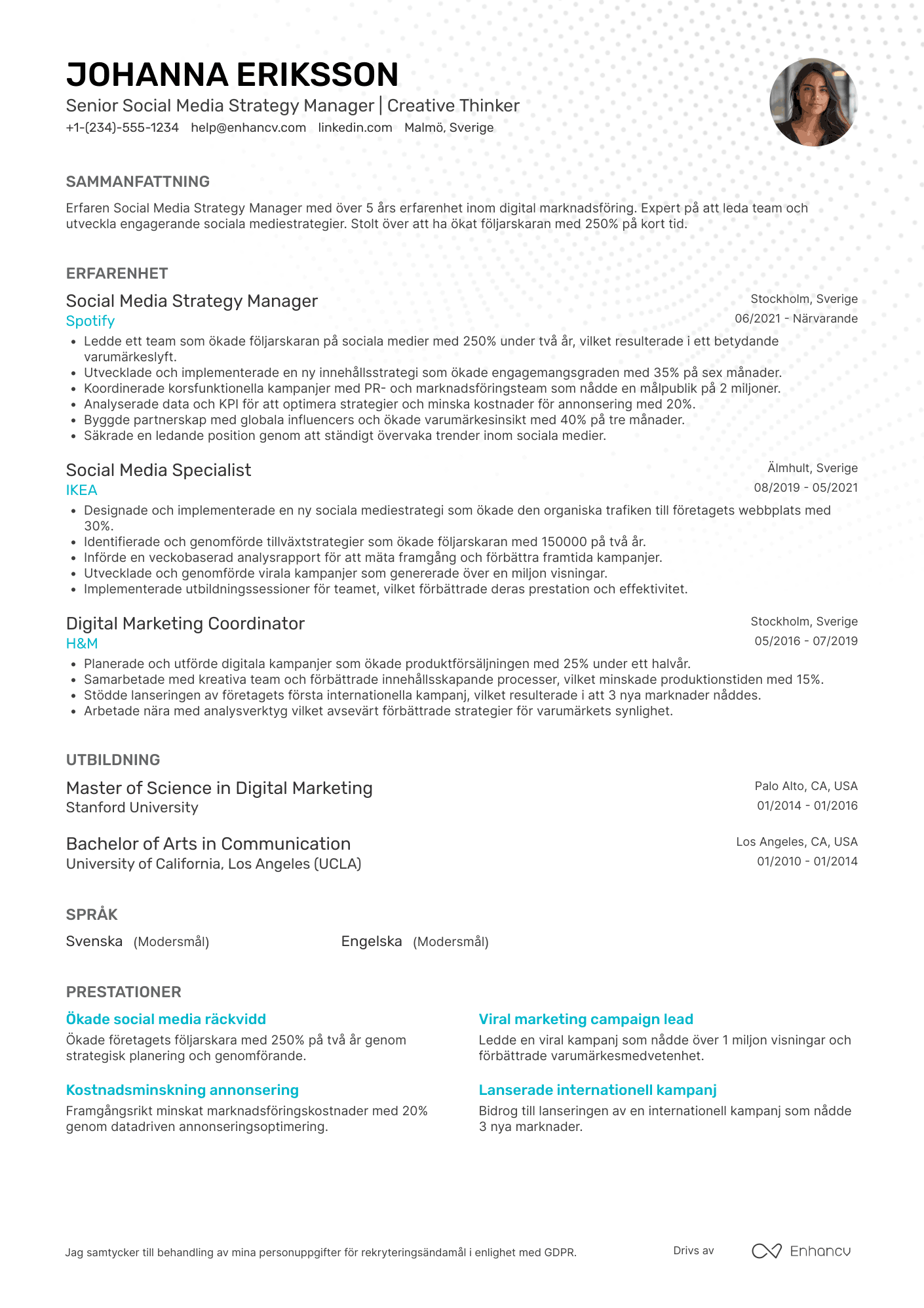 CV för Senior Social Media Strategy Manager Resume Example