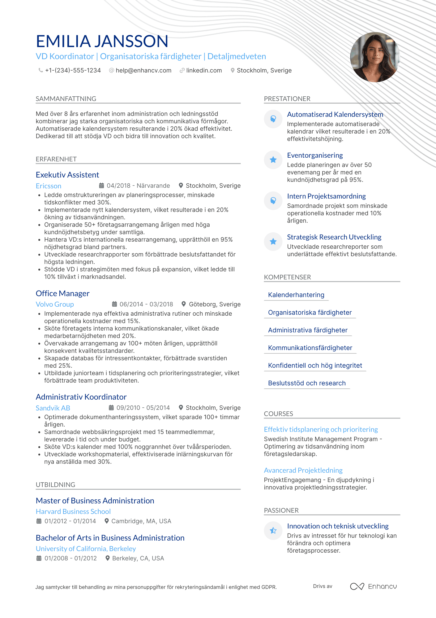CV för VD Coordinator Resume Example
