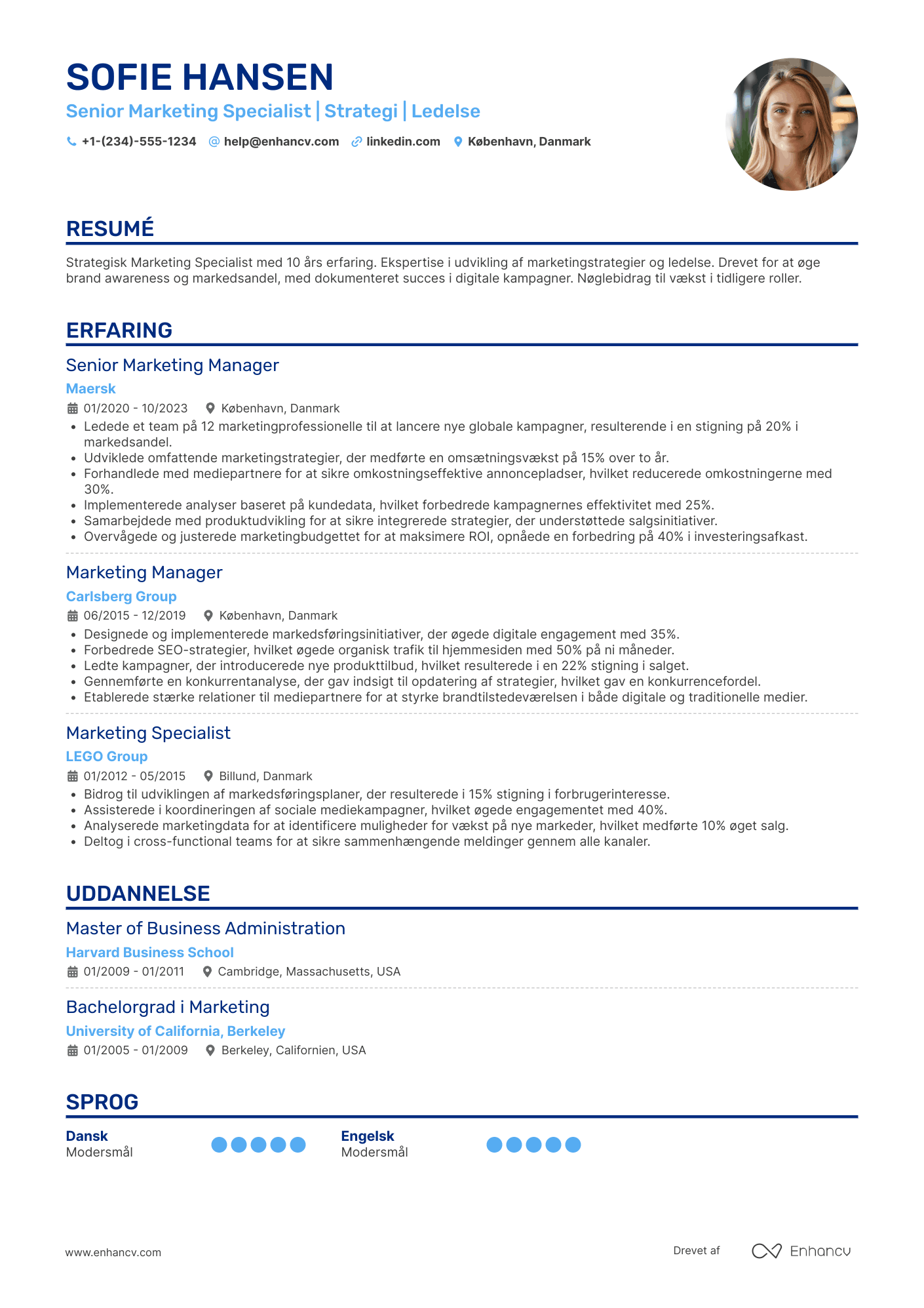 CV til Senior marketingdirektør Resume Example