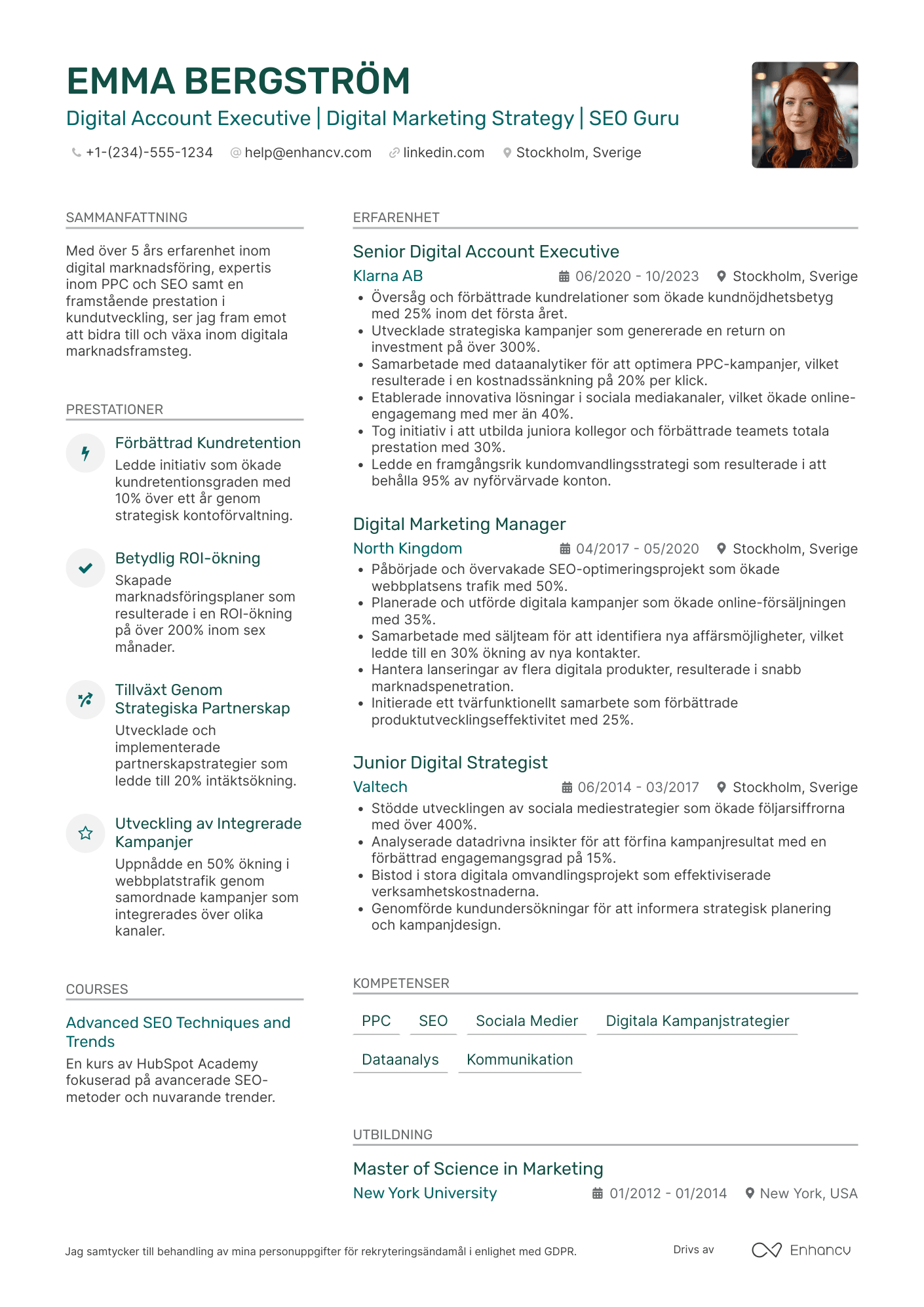 CV för Digital Account Executive Resume Example