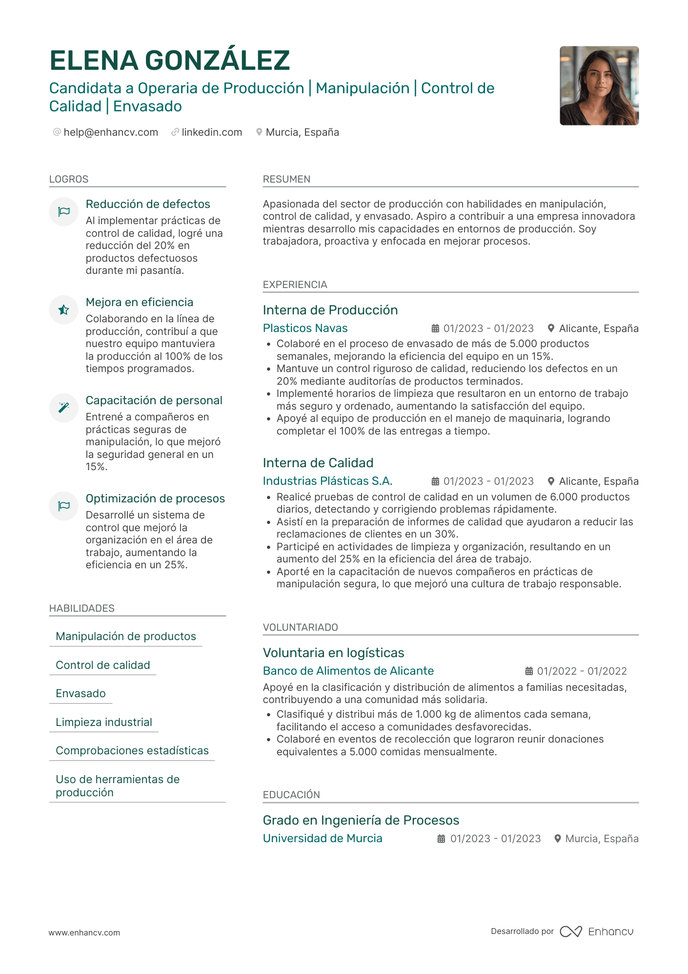 Artista plástico Resume Example