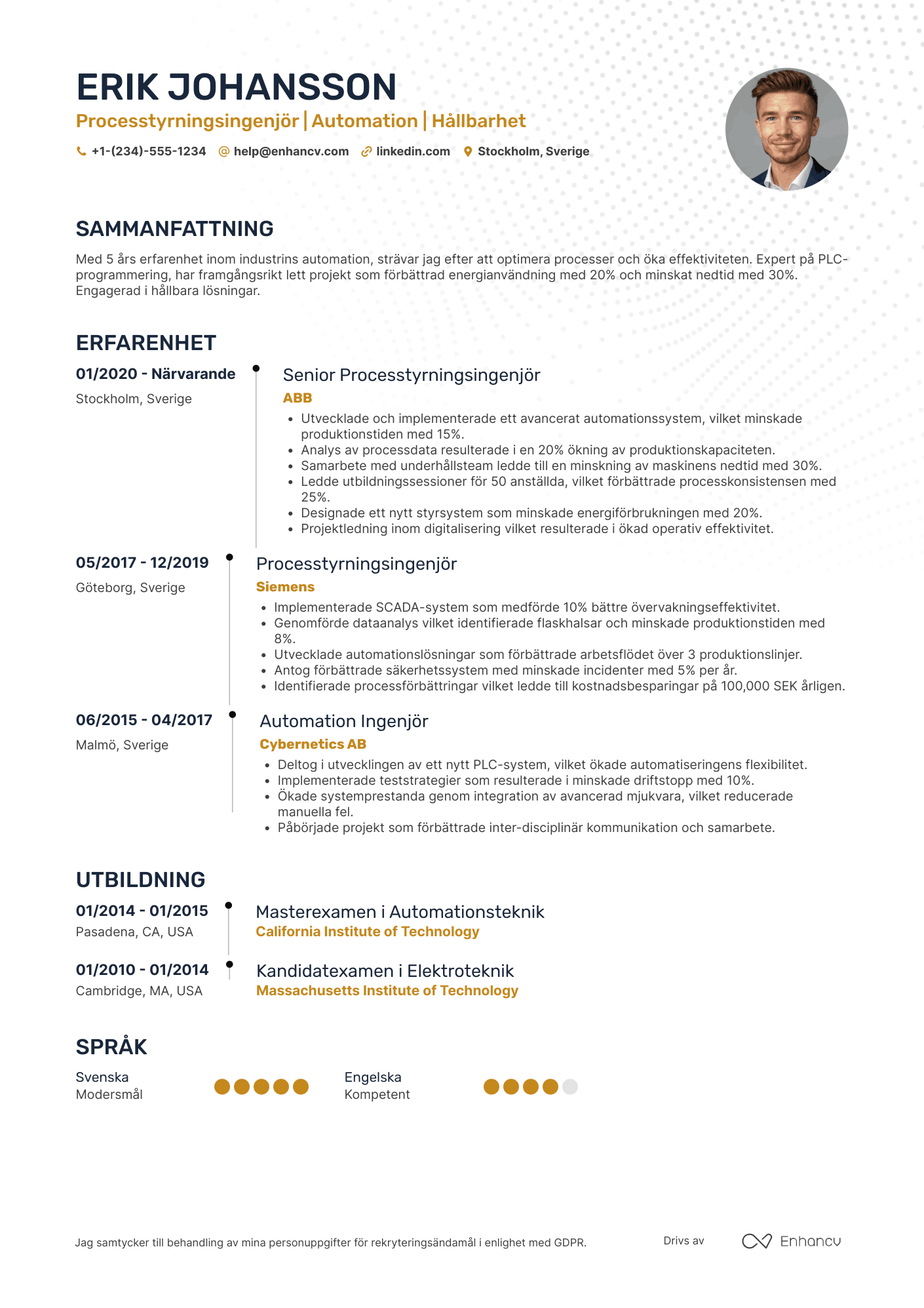 CV för Processtyrningsingenjör Resume Example