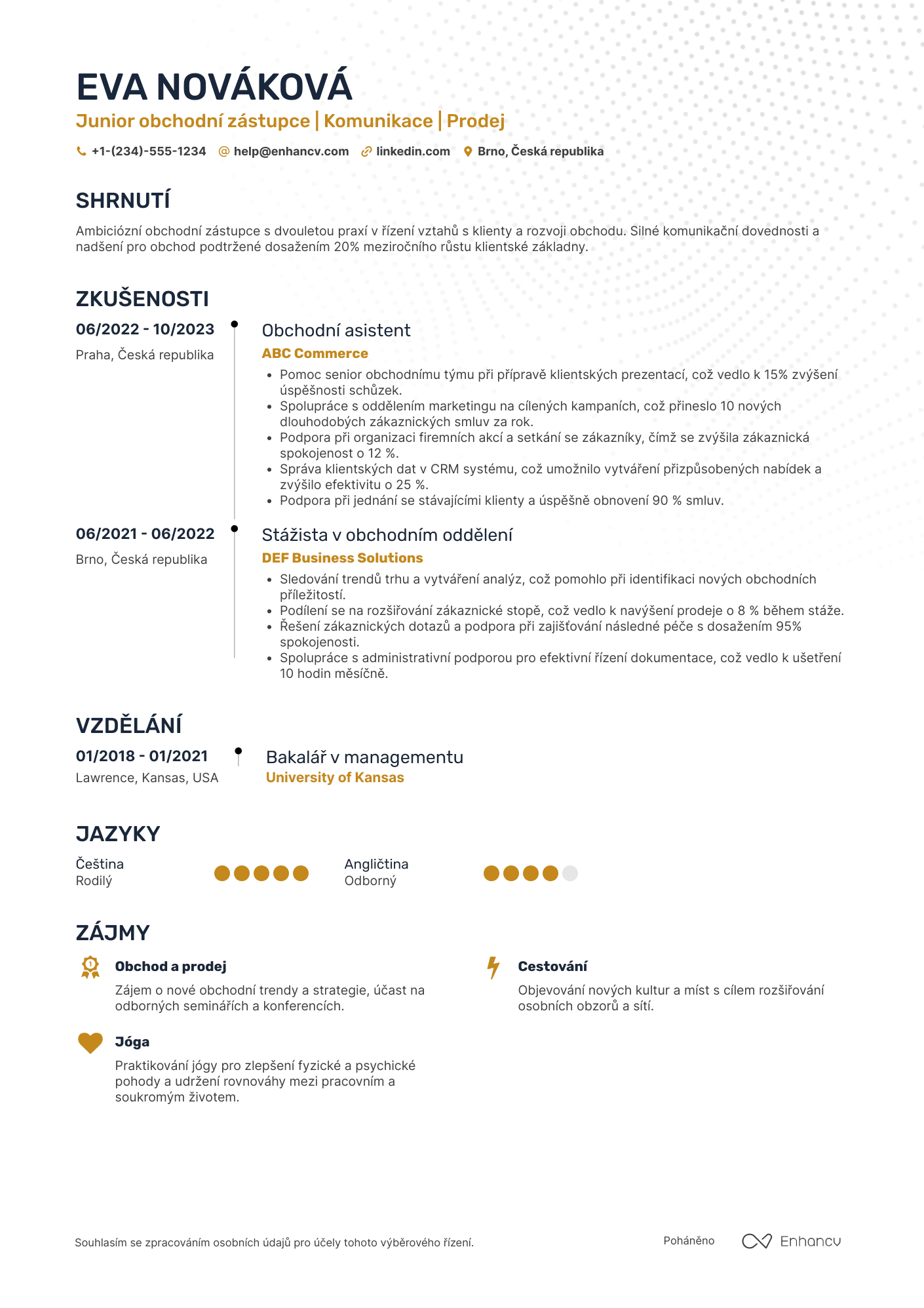 Životopis pro Junior obchodní zástupce Resume Example