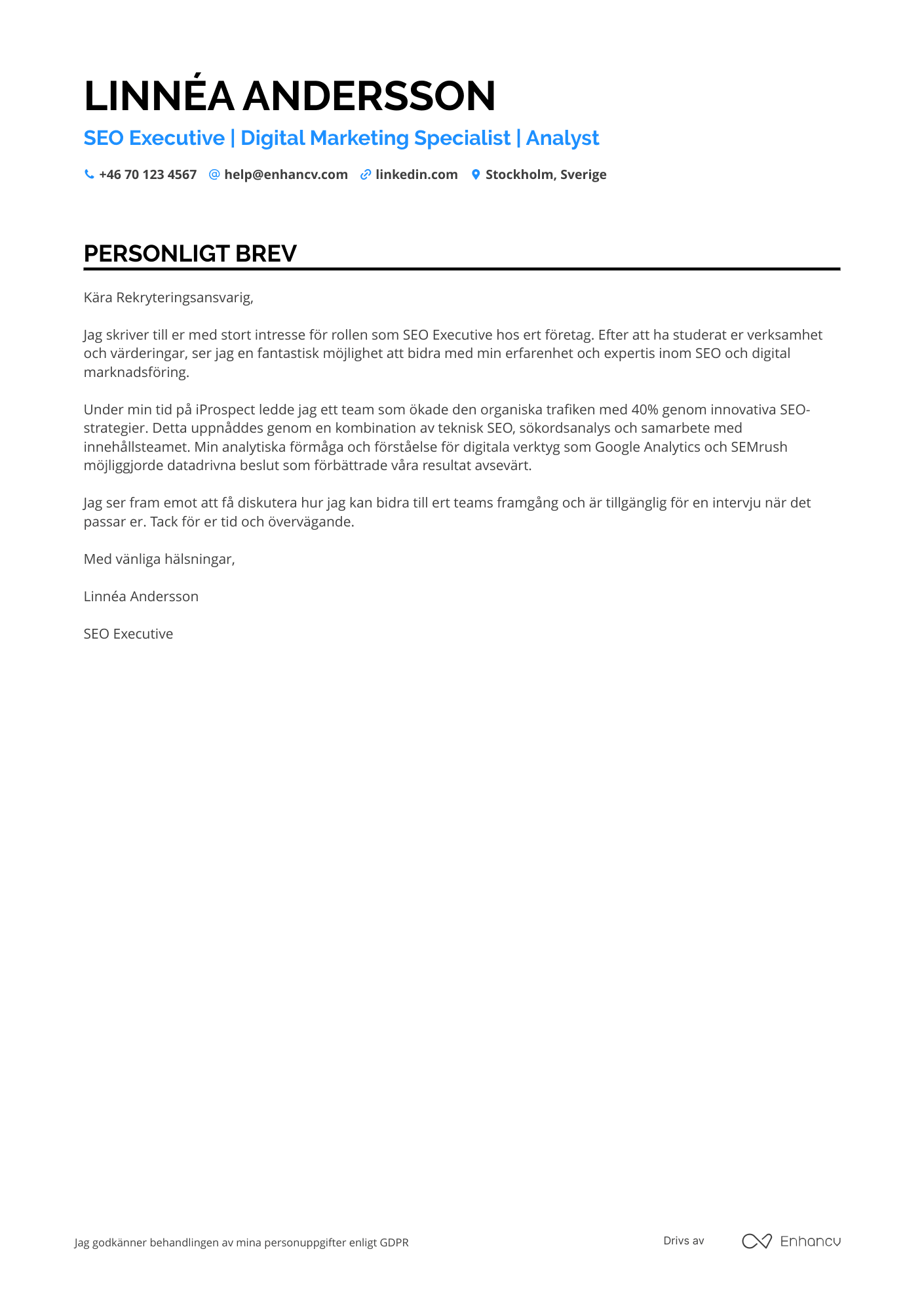 Personligt brev för SEO Executive Resume Example