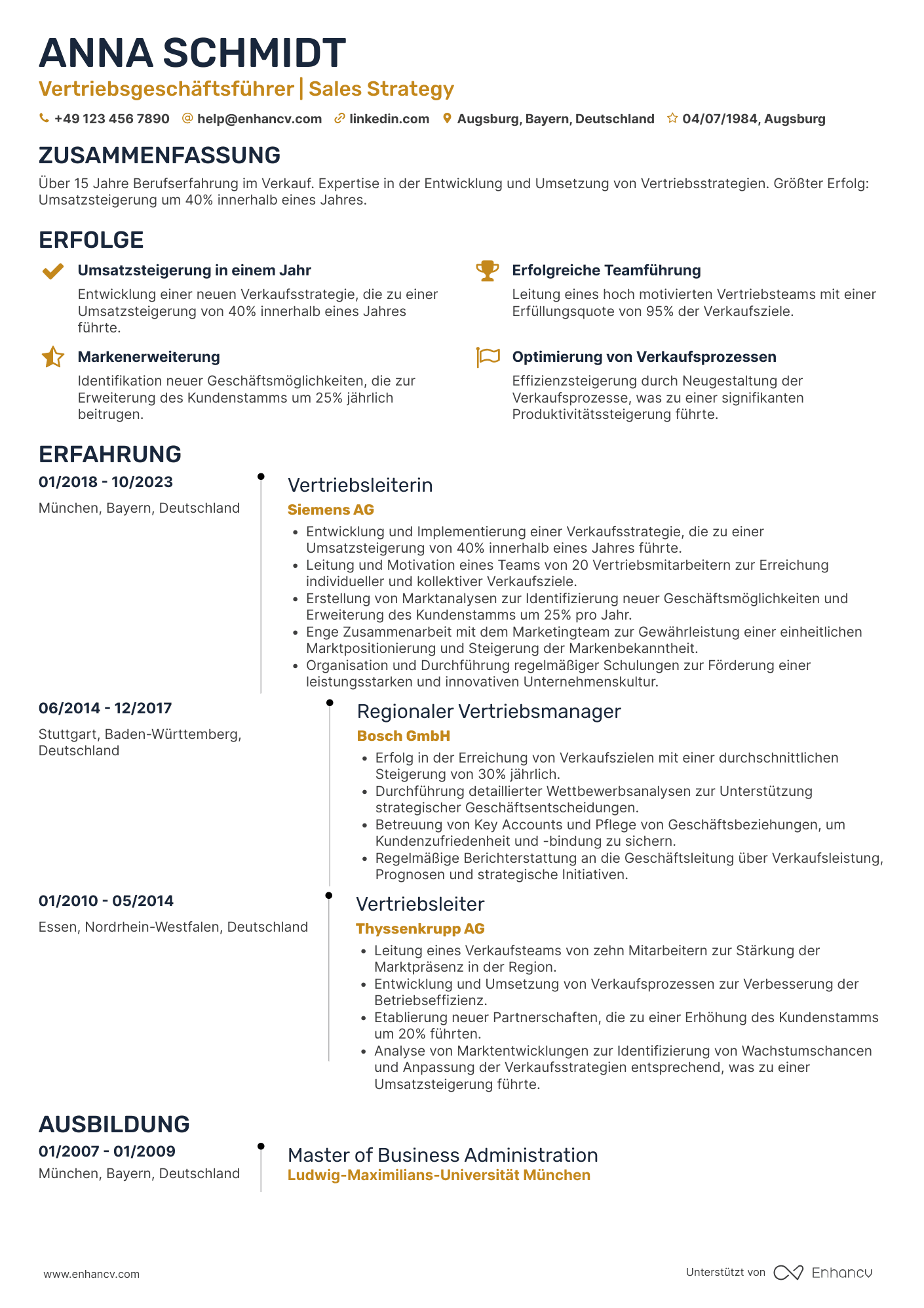 Lebenslauf als Vertriebsgeschäftsführer Resume Example
