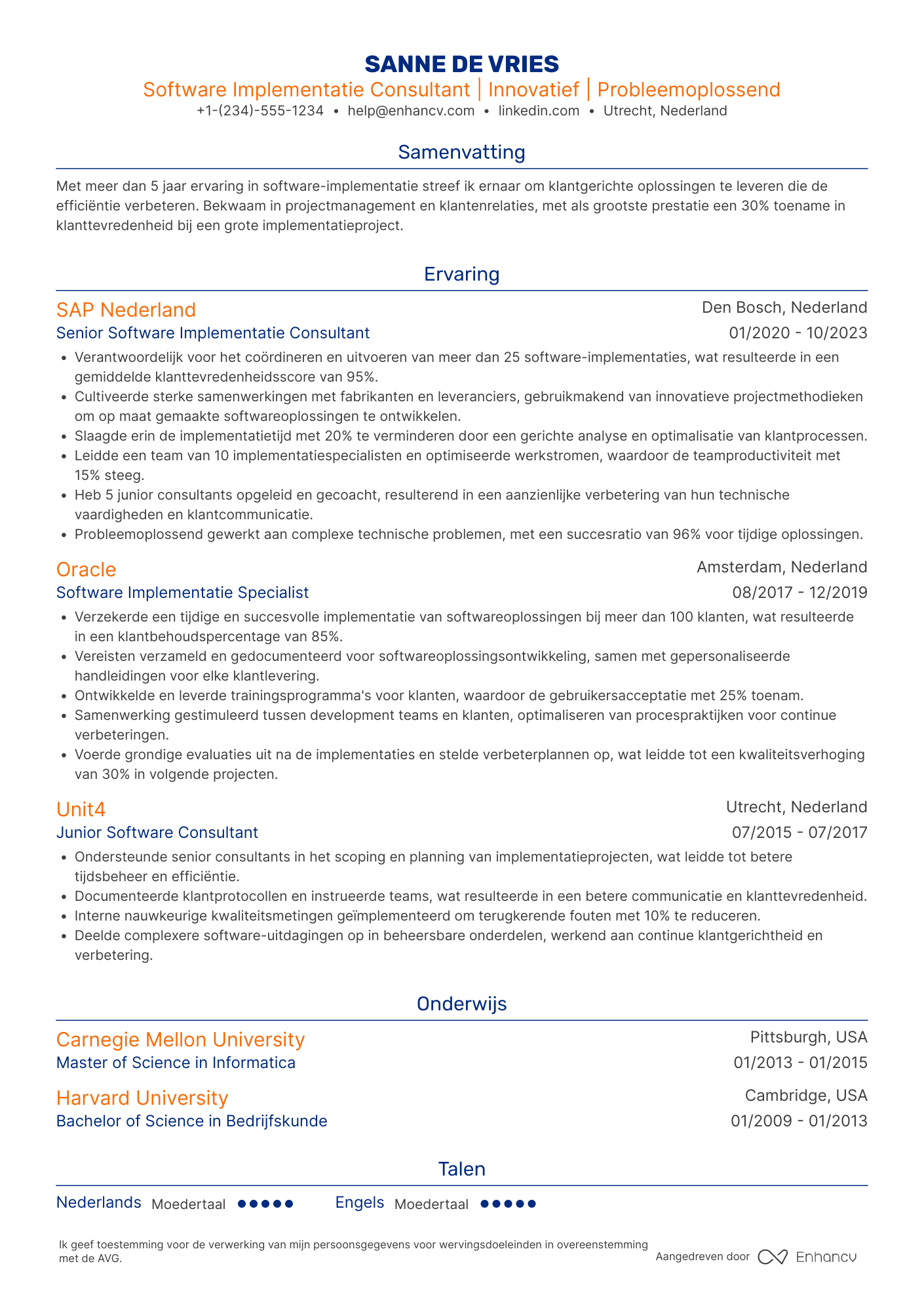 CV voor Software Implementation Consultant Resume Example