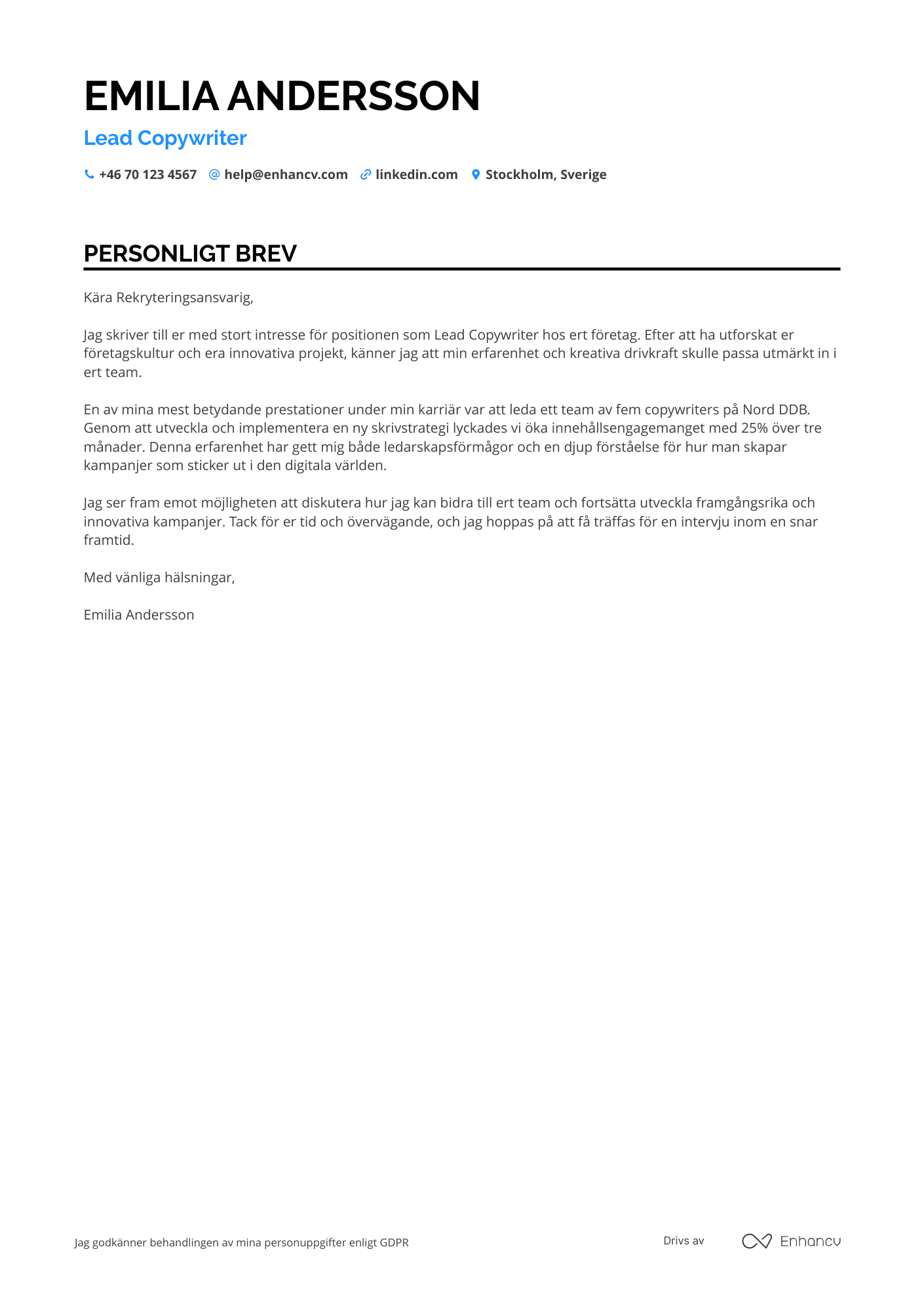 Personligt brev för Lead Copywriter Resume Example