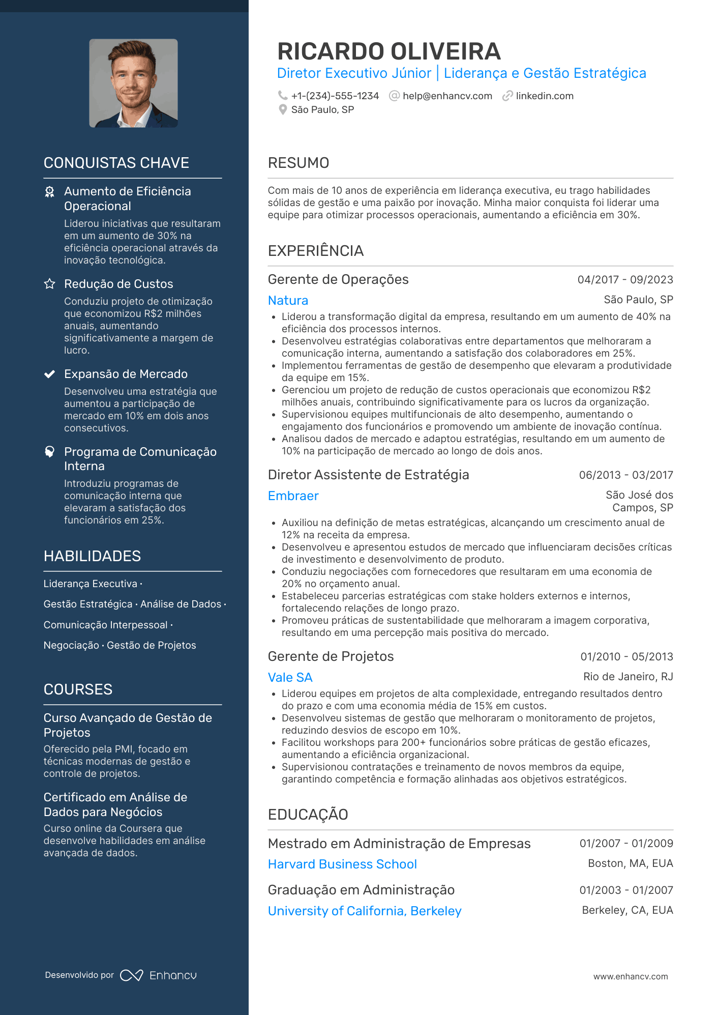 Currículo diretor executivo júnior (5 10 anos) Resume Example