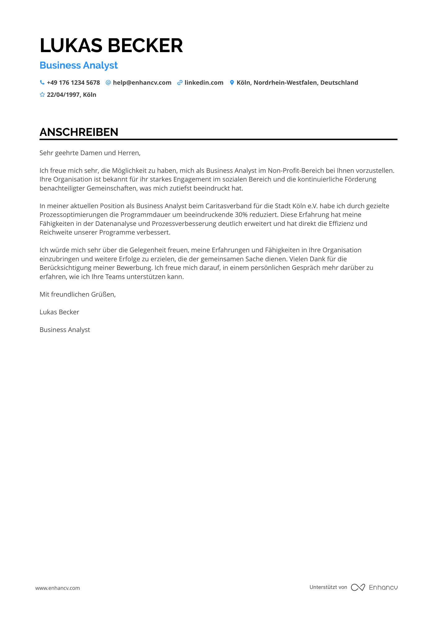 Business Analyst für Non Profit Organisationen Resume Example