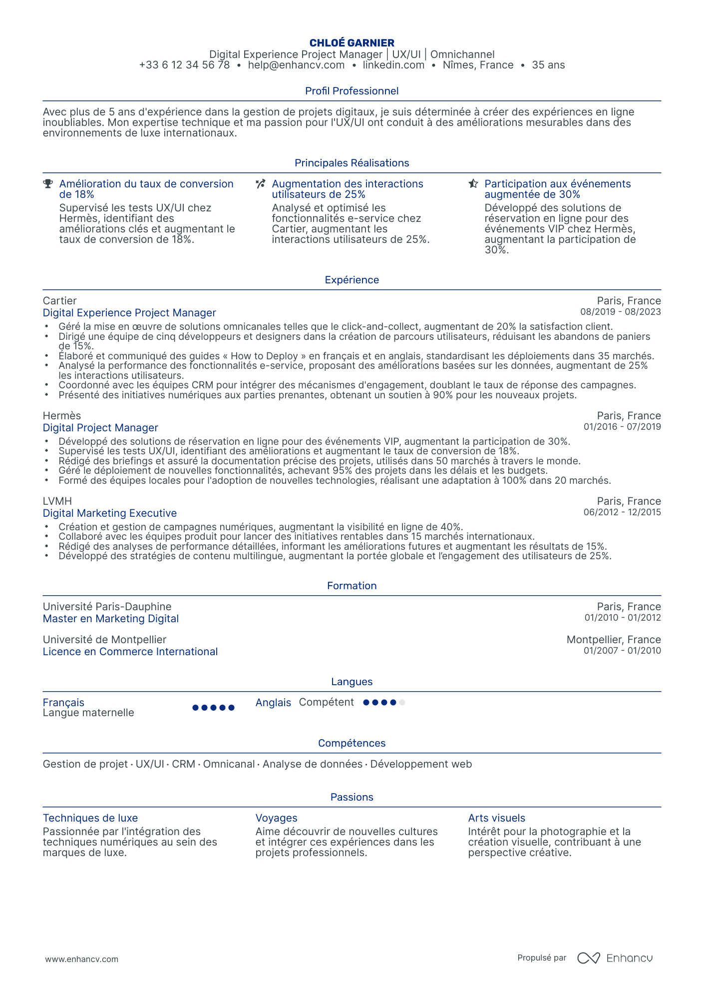 Chef de Projet Digital Resume Example