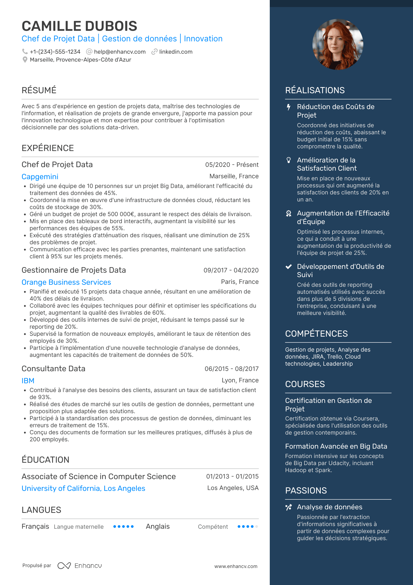 CV de chef·fe de projet data Resume Example