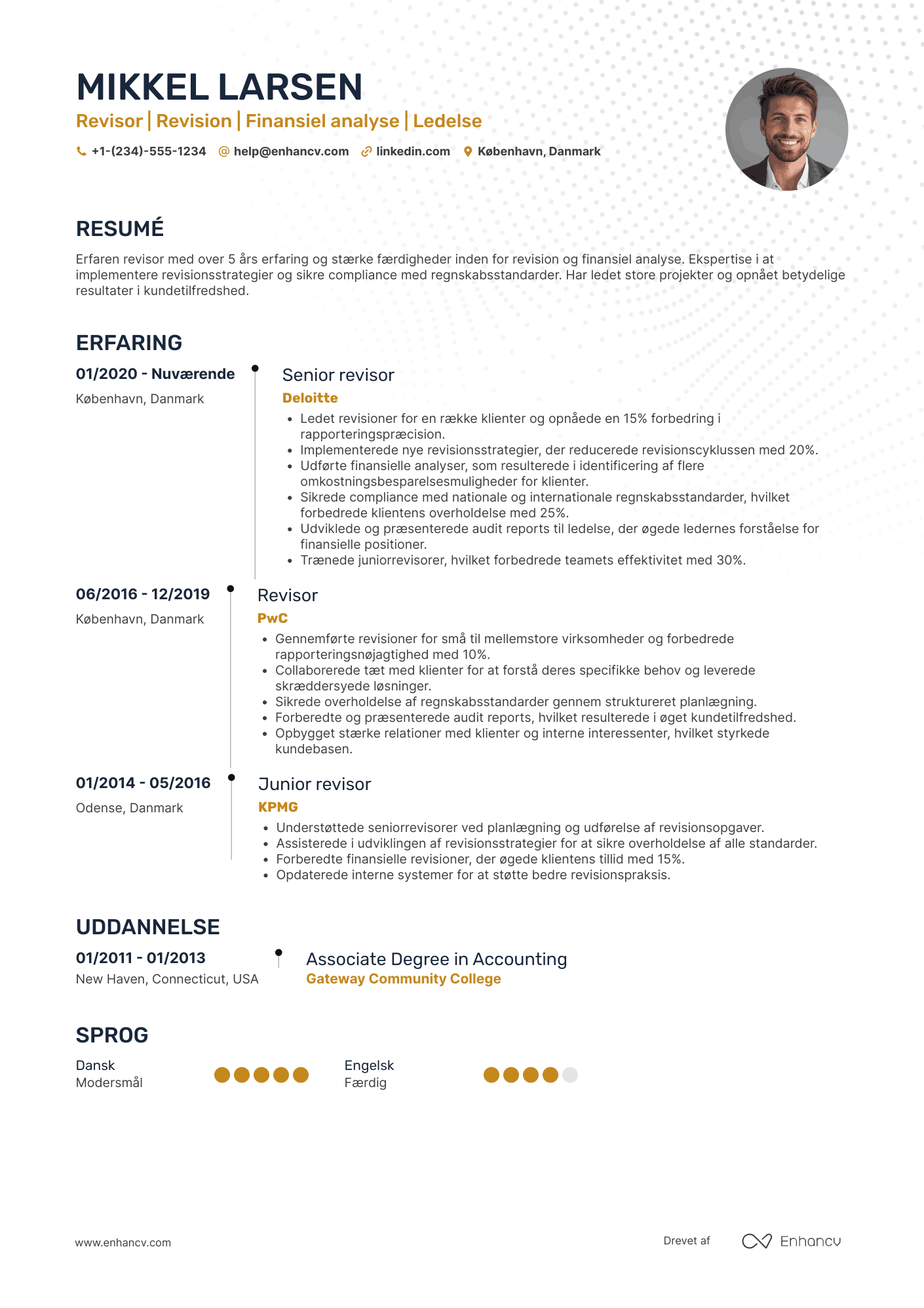CV til Revisor med speciale i revision Resume Example