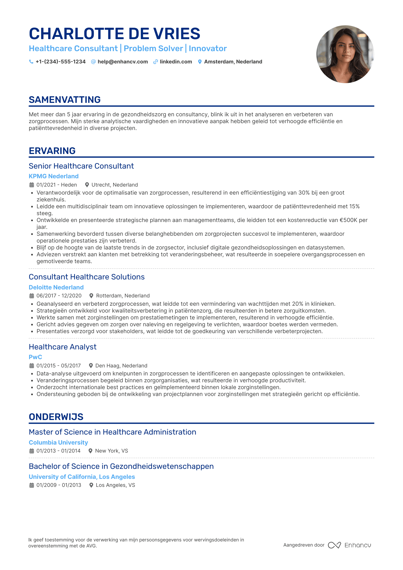 CV voor Healthcare Consultant Resume Example
